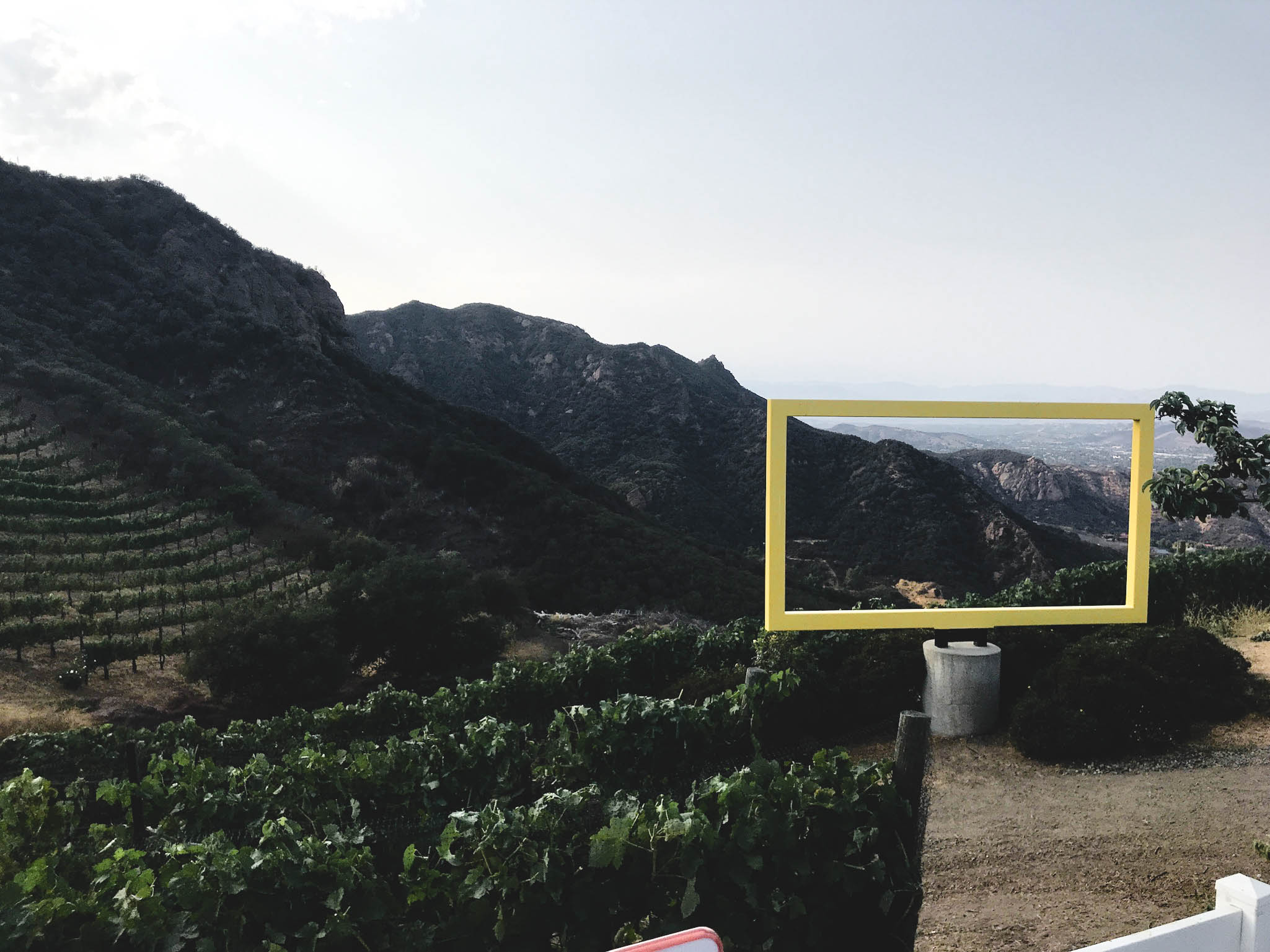 Views from the Safari Tour