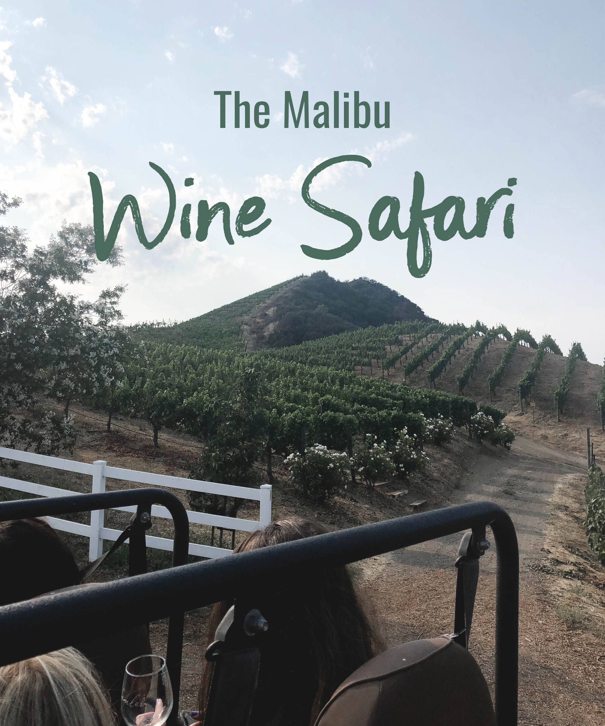 The Malibu Wine Safari