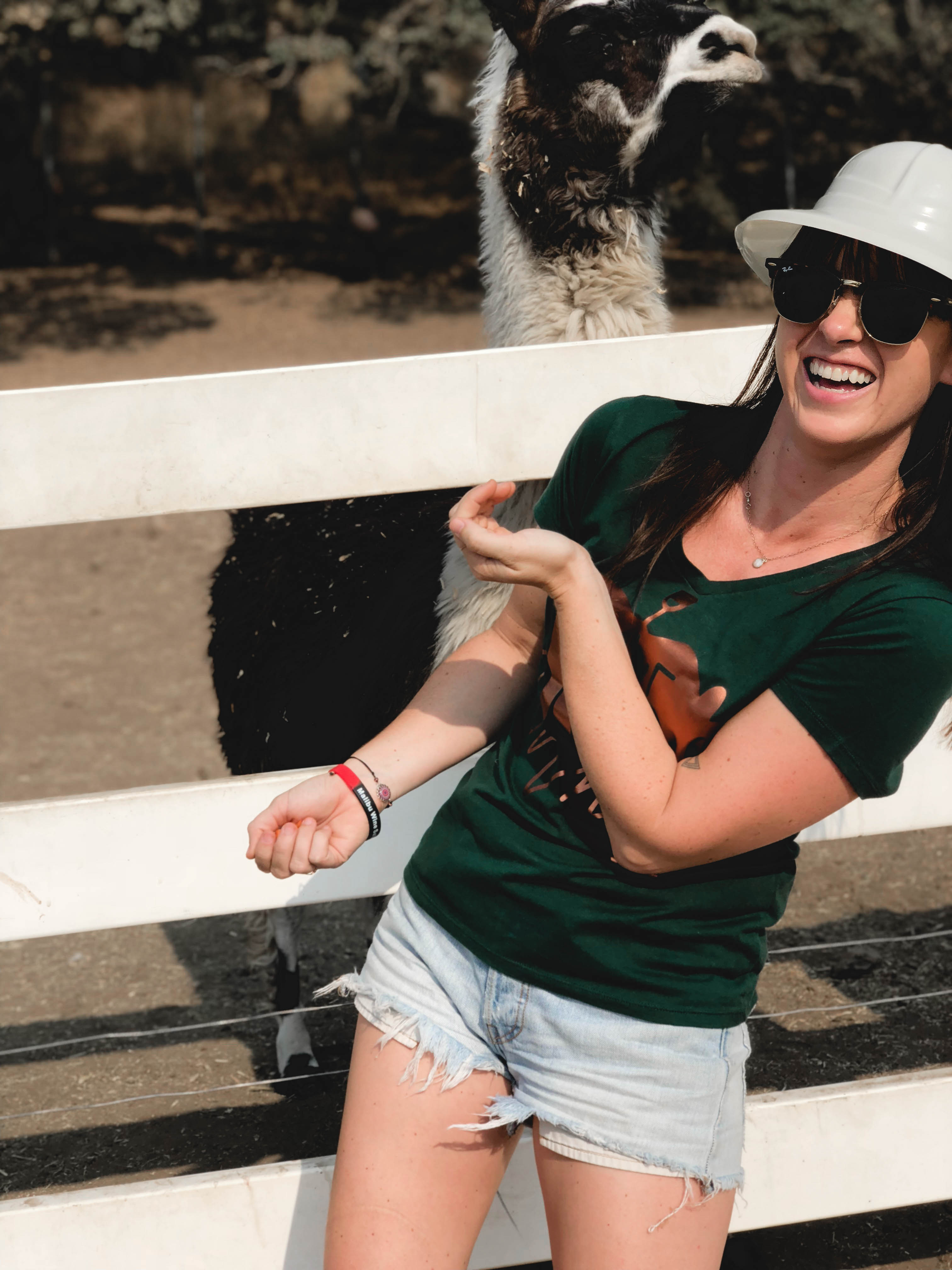 Llamas at the Malibu Wine Safari