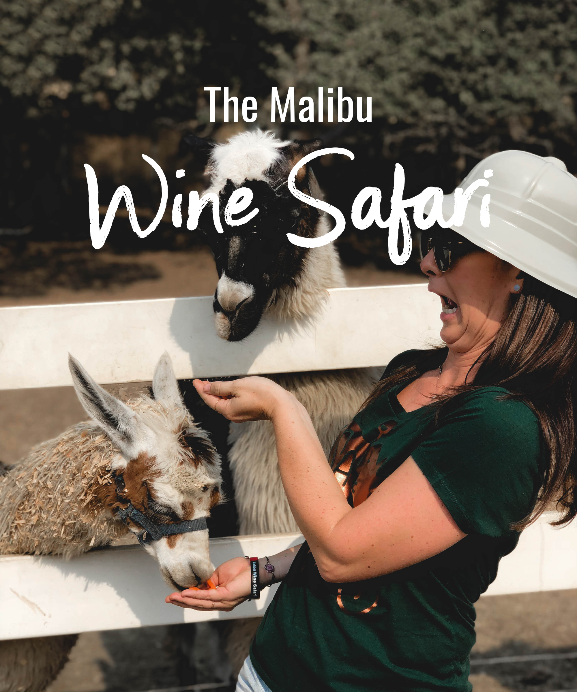 The Malibu Wine Safari