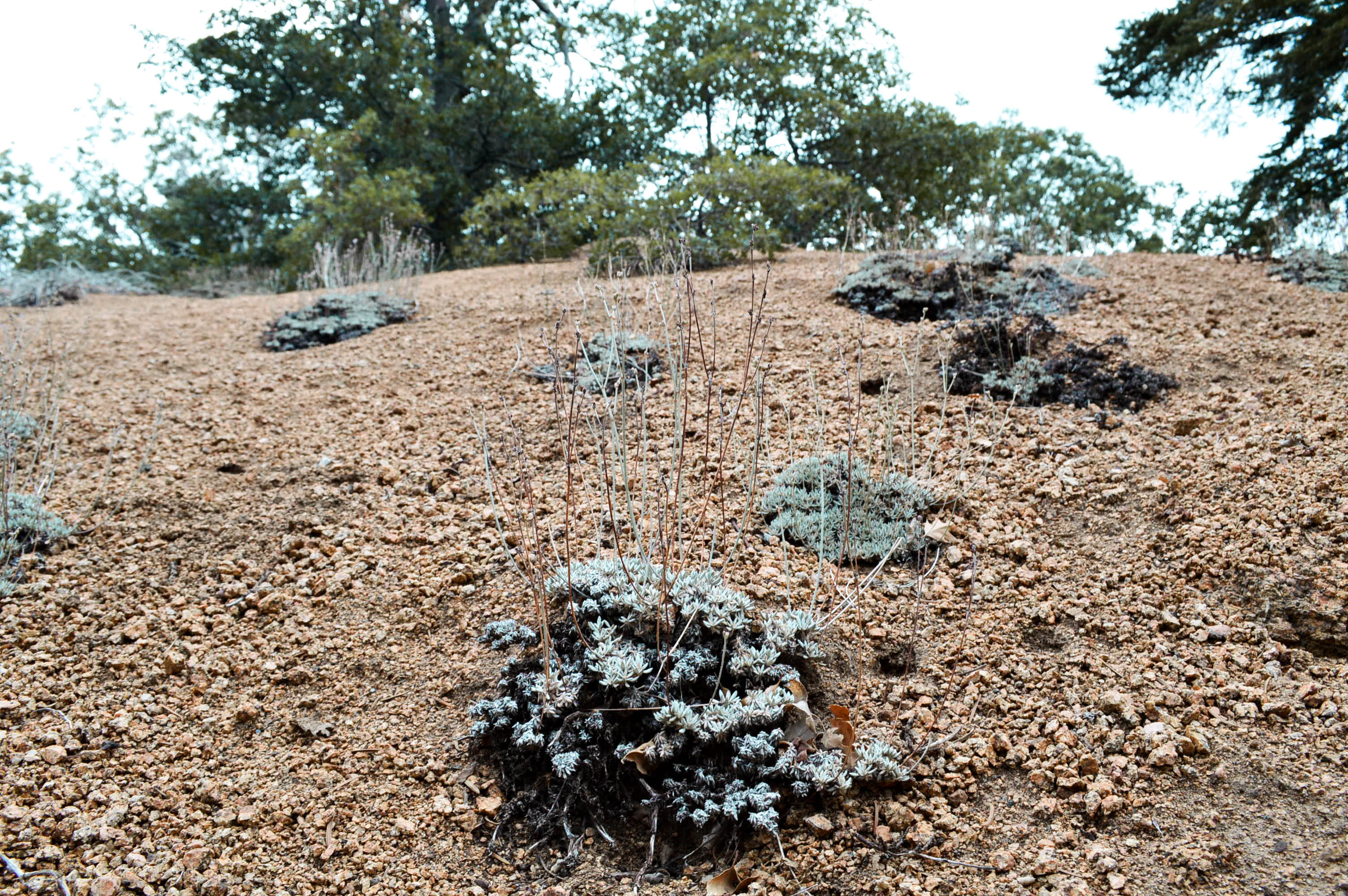 Take care of the outdoors with Leave No Trace