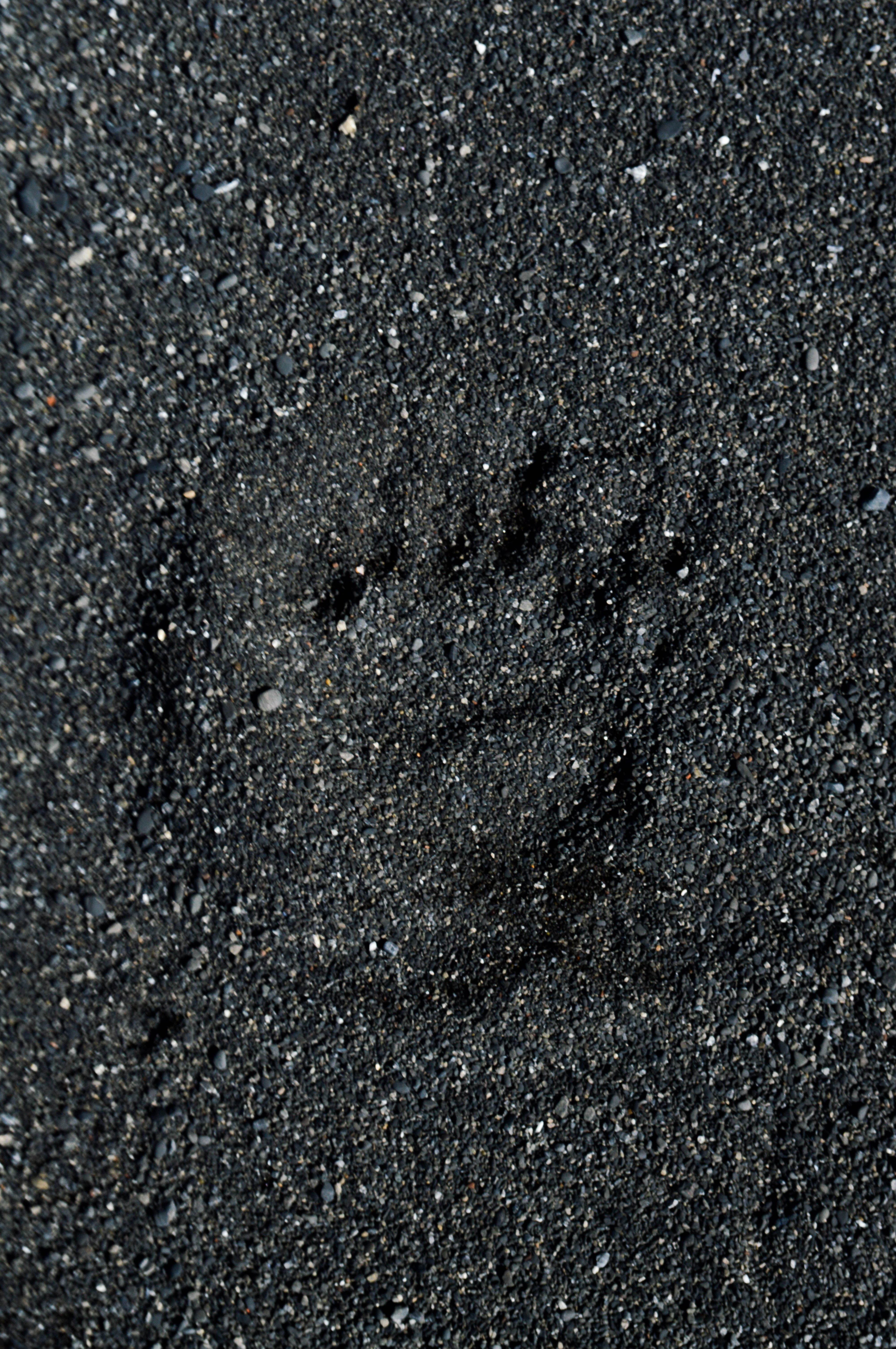 Take care of the outdoors with Leave No Trace