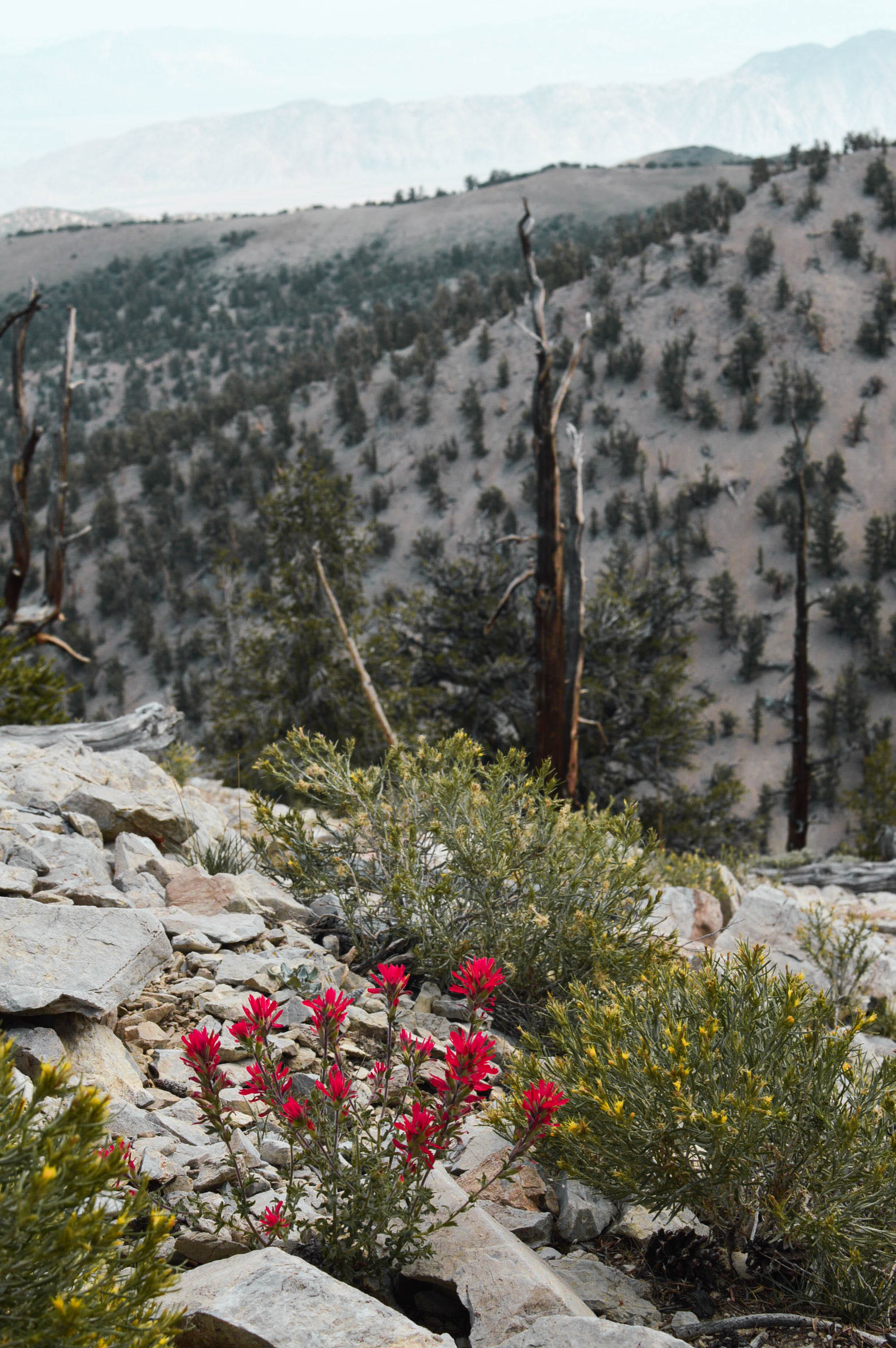 Take care of the outdoors with Leave No Trace