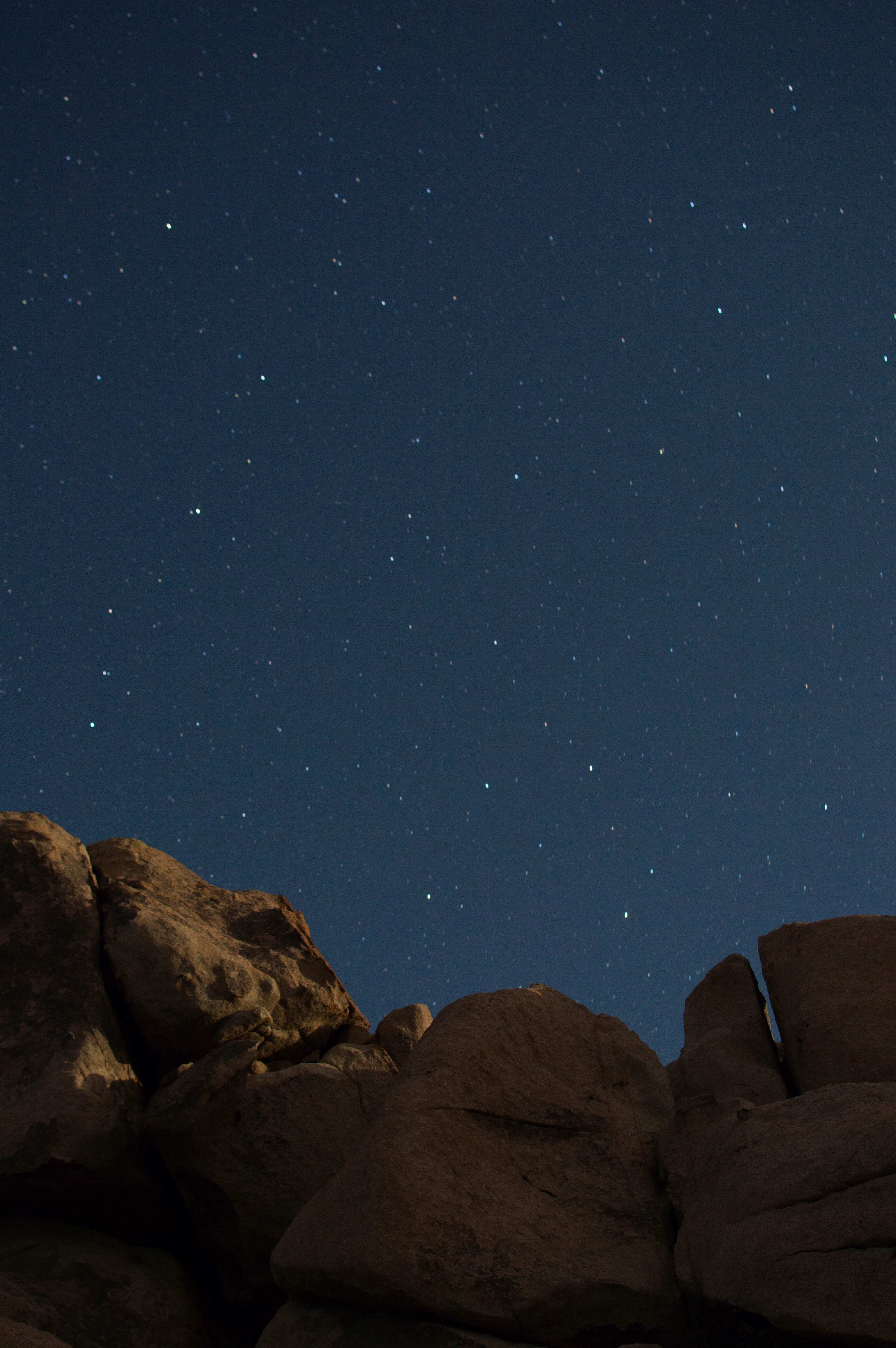 Joshua Tree stary nights