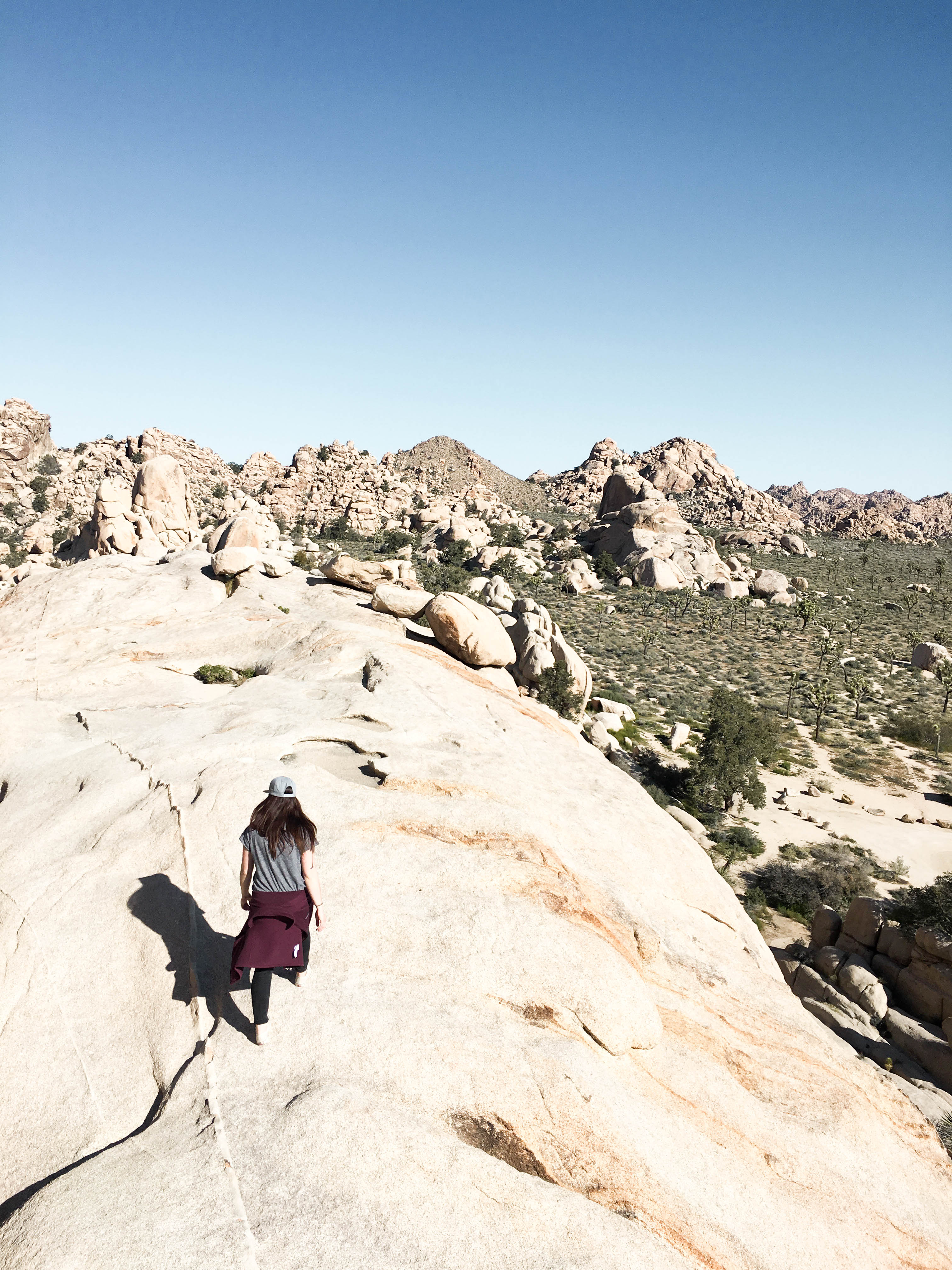Hidden Valley Joshua Tree