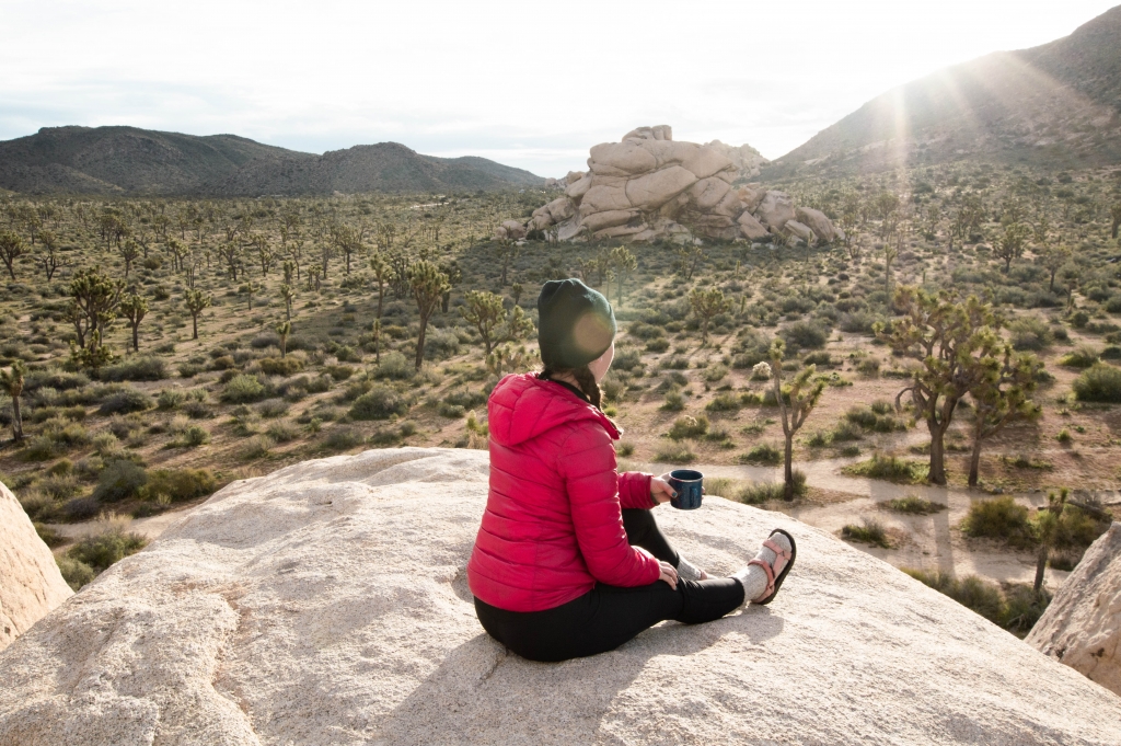 Hall of Horrors in Joshua Tree