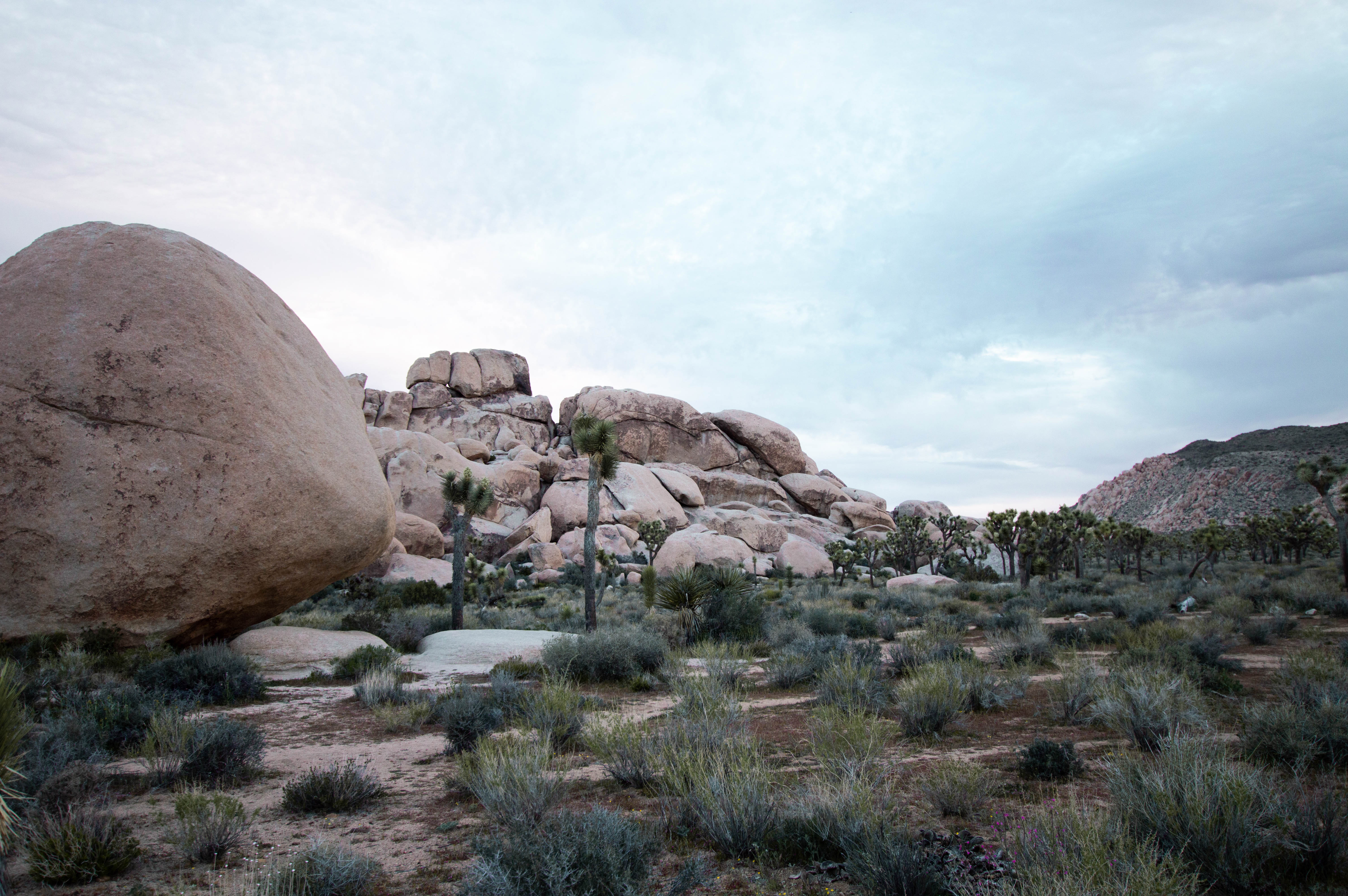 Hall of Horrors in Joshua Tree