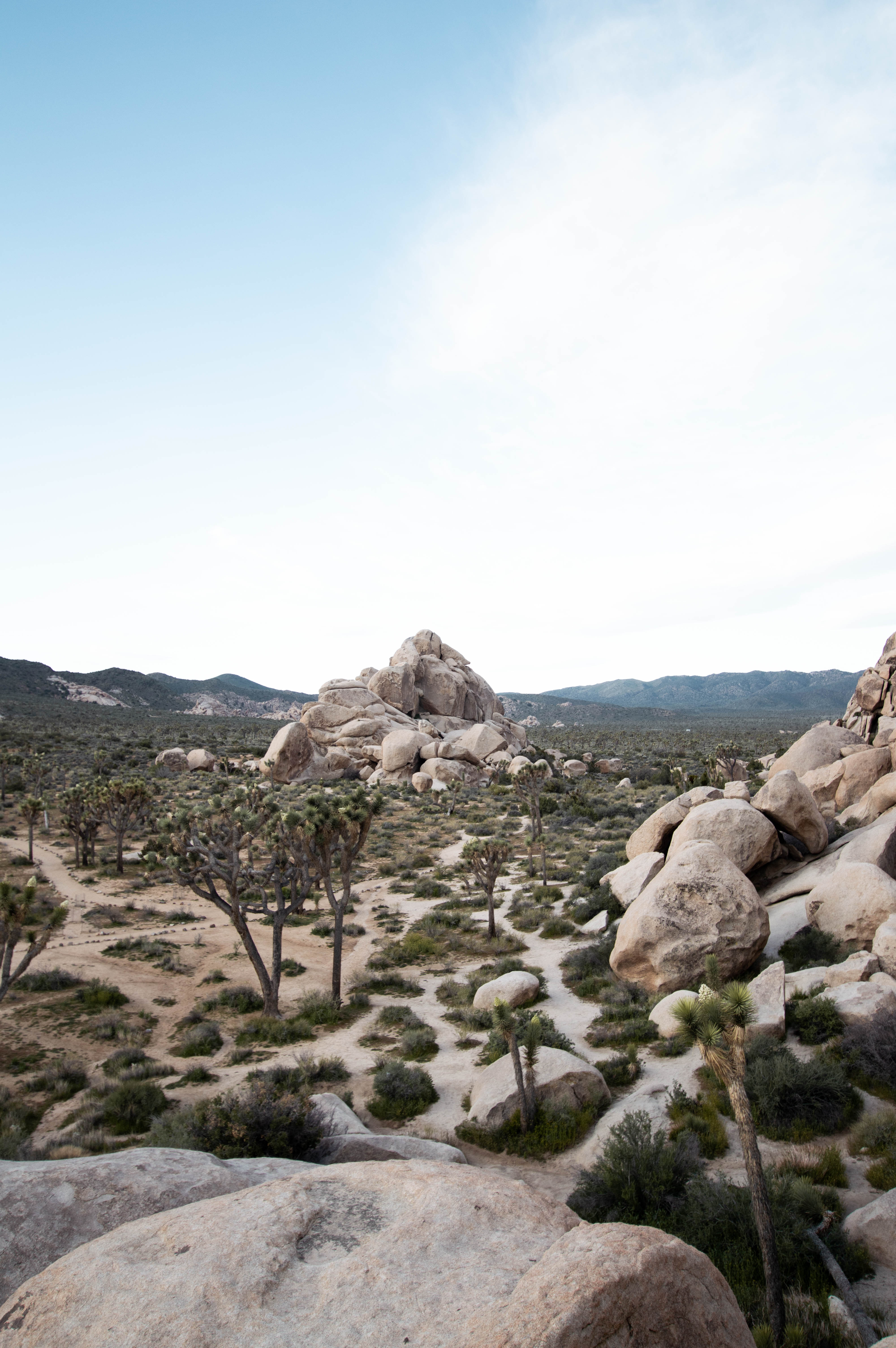 Hall of Horrors in Joshua Tree