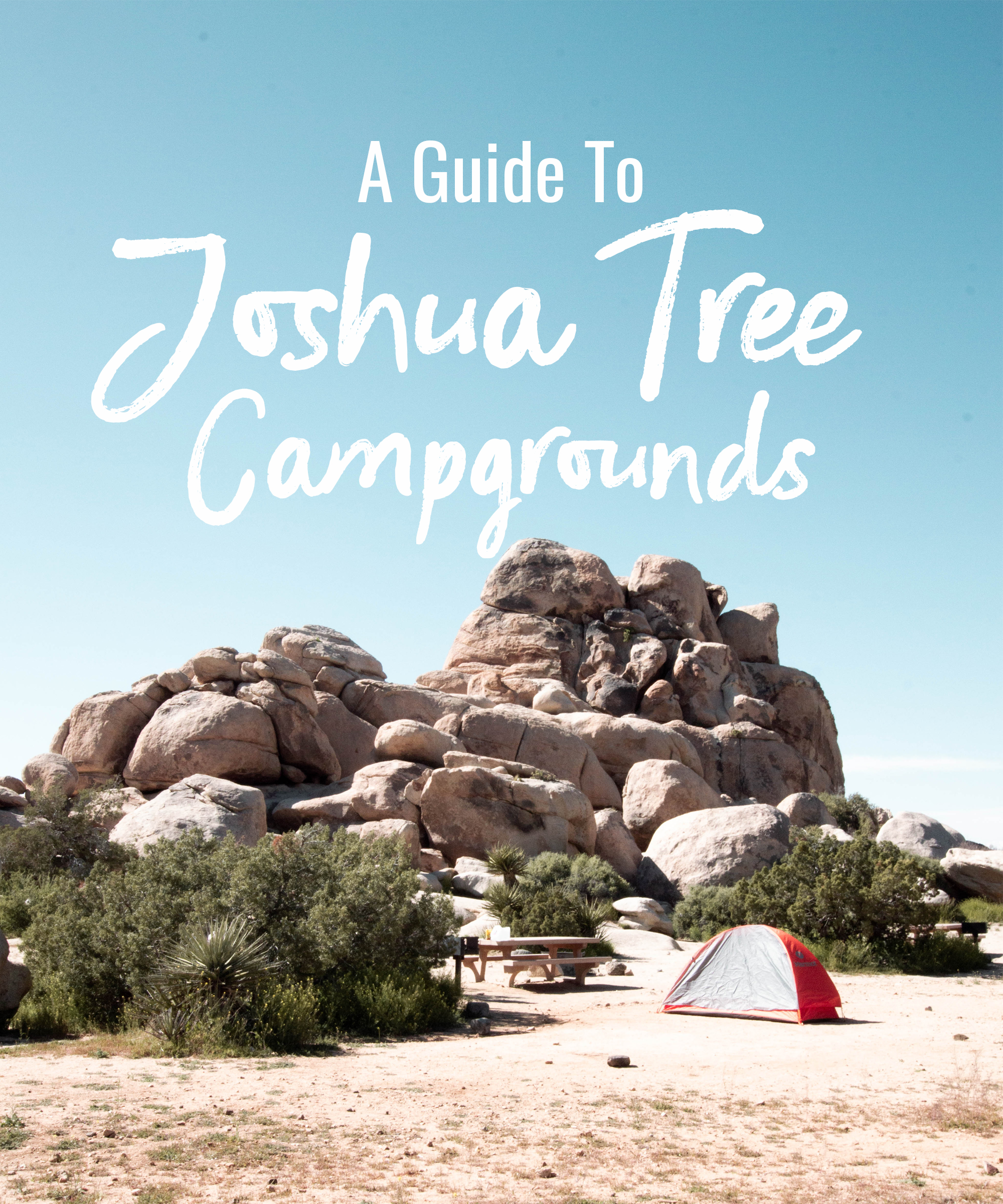 a guide to Joshua Tree campgrounds