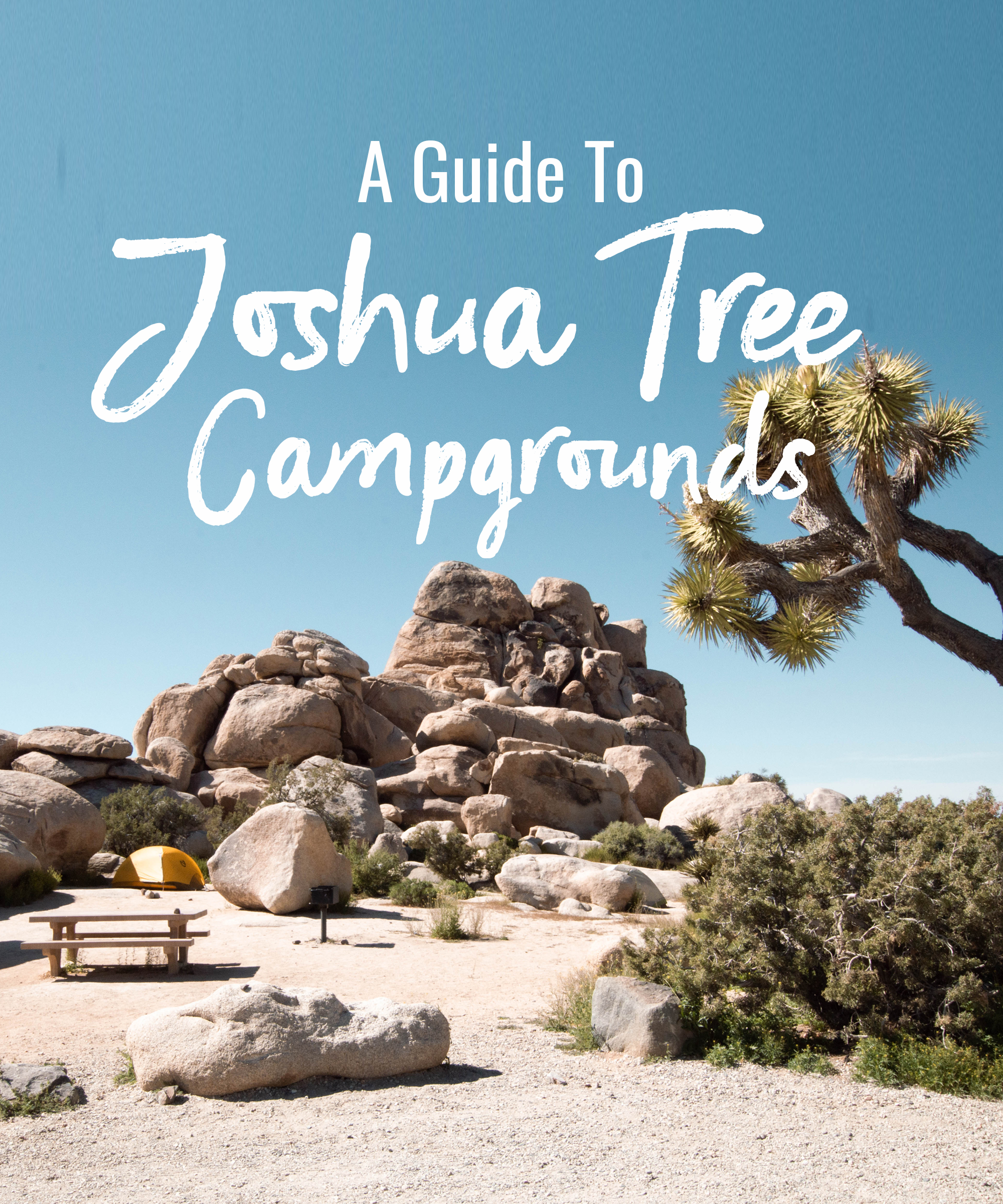 a guide to Joshua Tree campgrounds