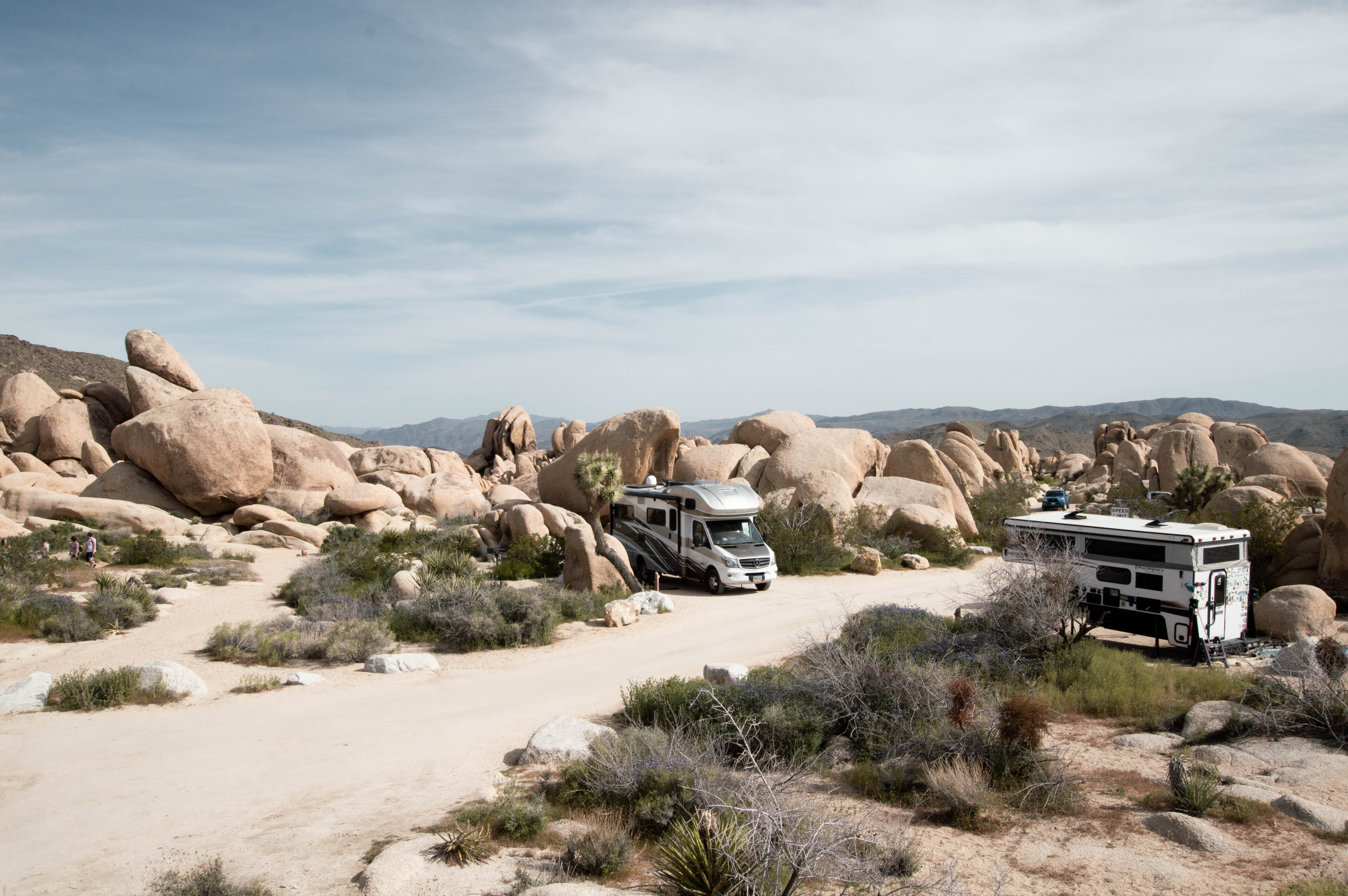 White Tank Campground - Joshua Tree