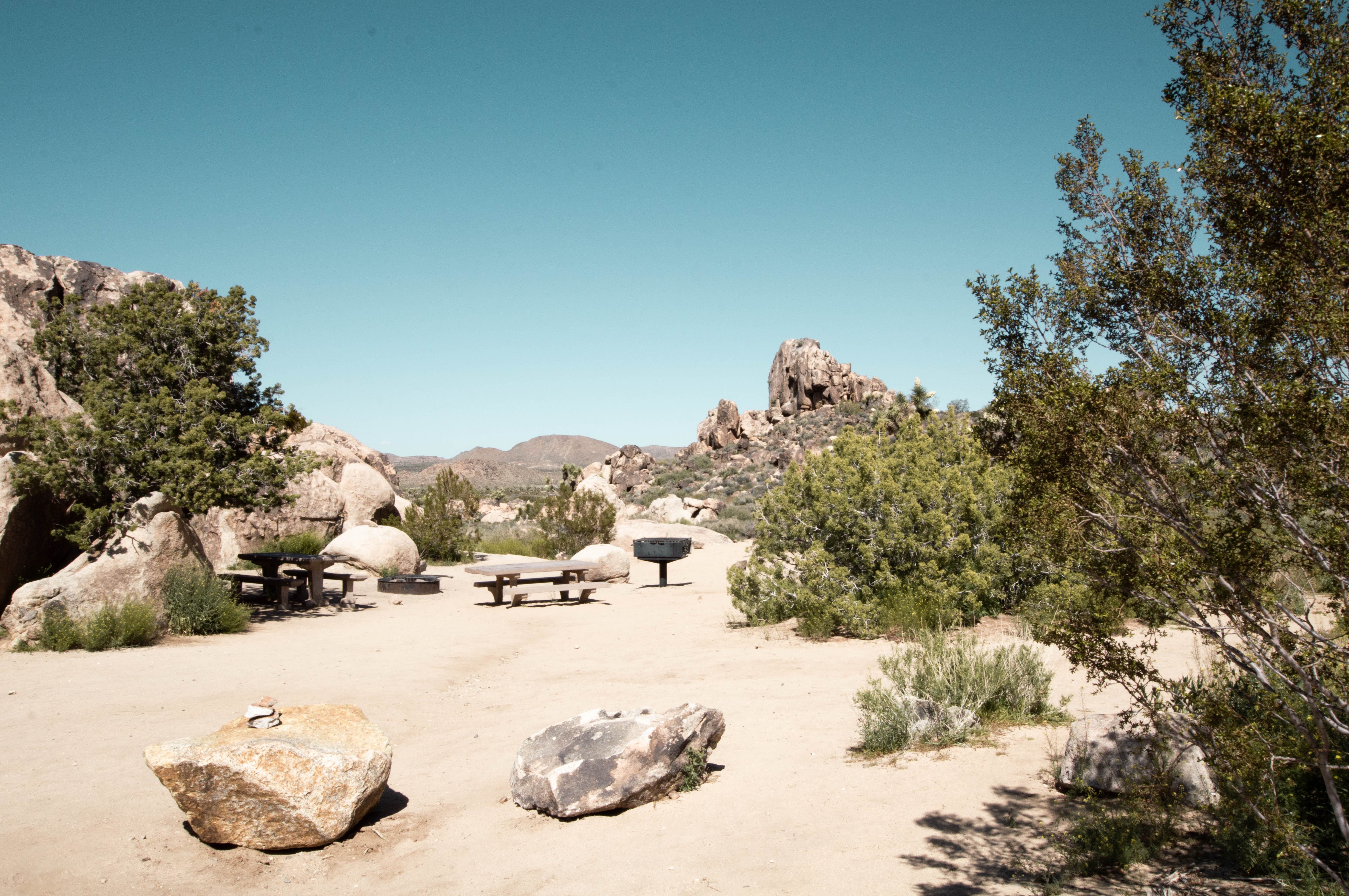 Sheep's Pass Campground - Joshua Tree