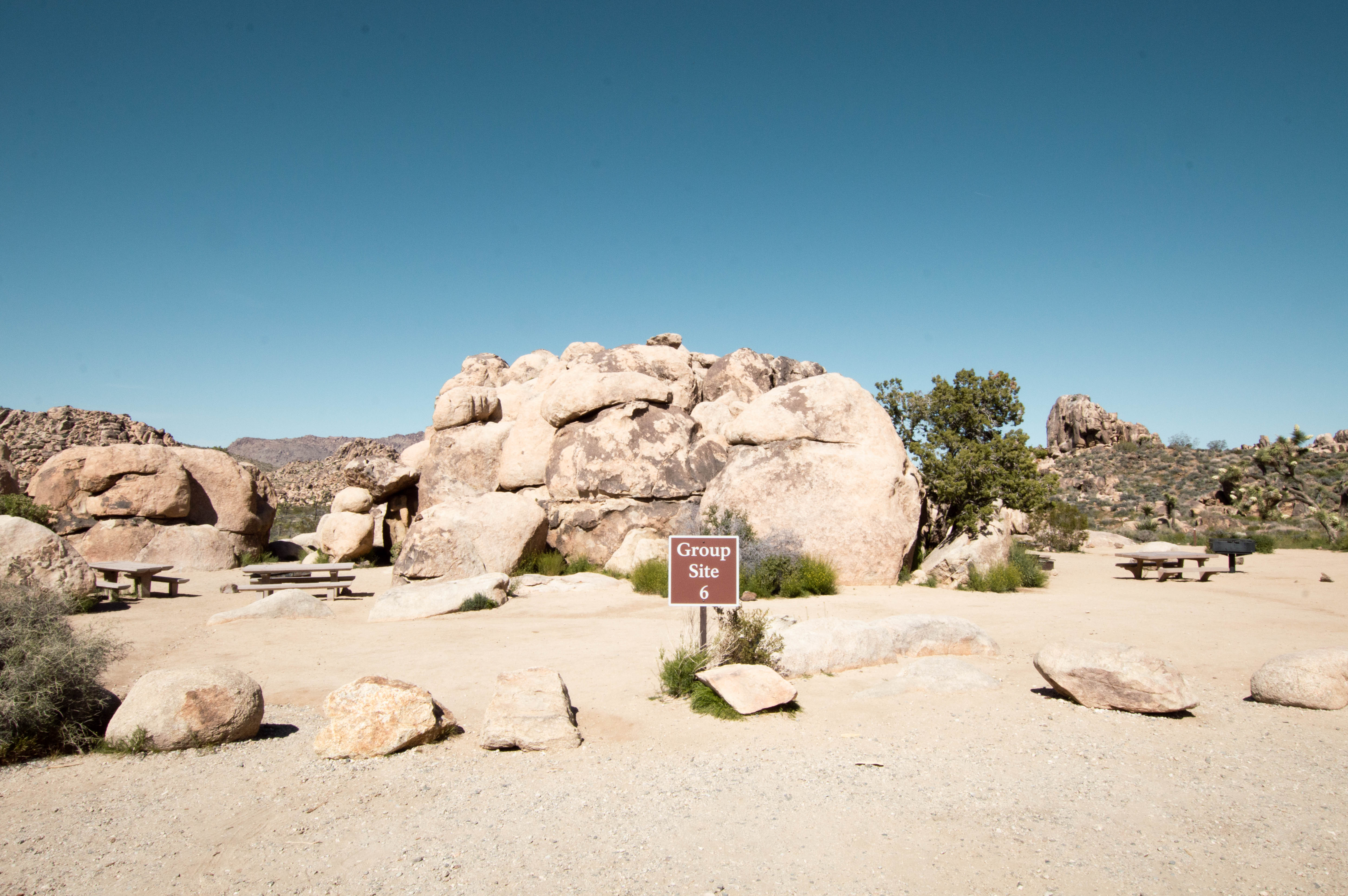 Sheep's Pass Campground - Joshua Tree