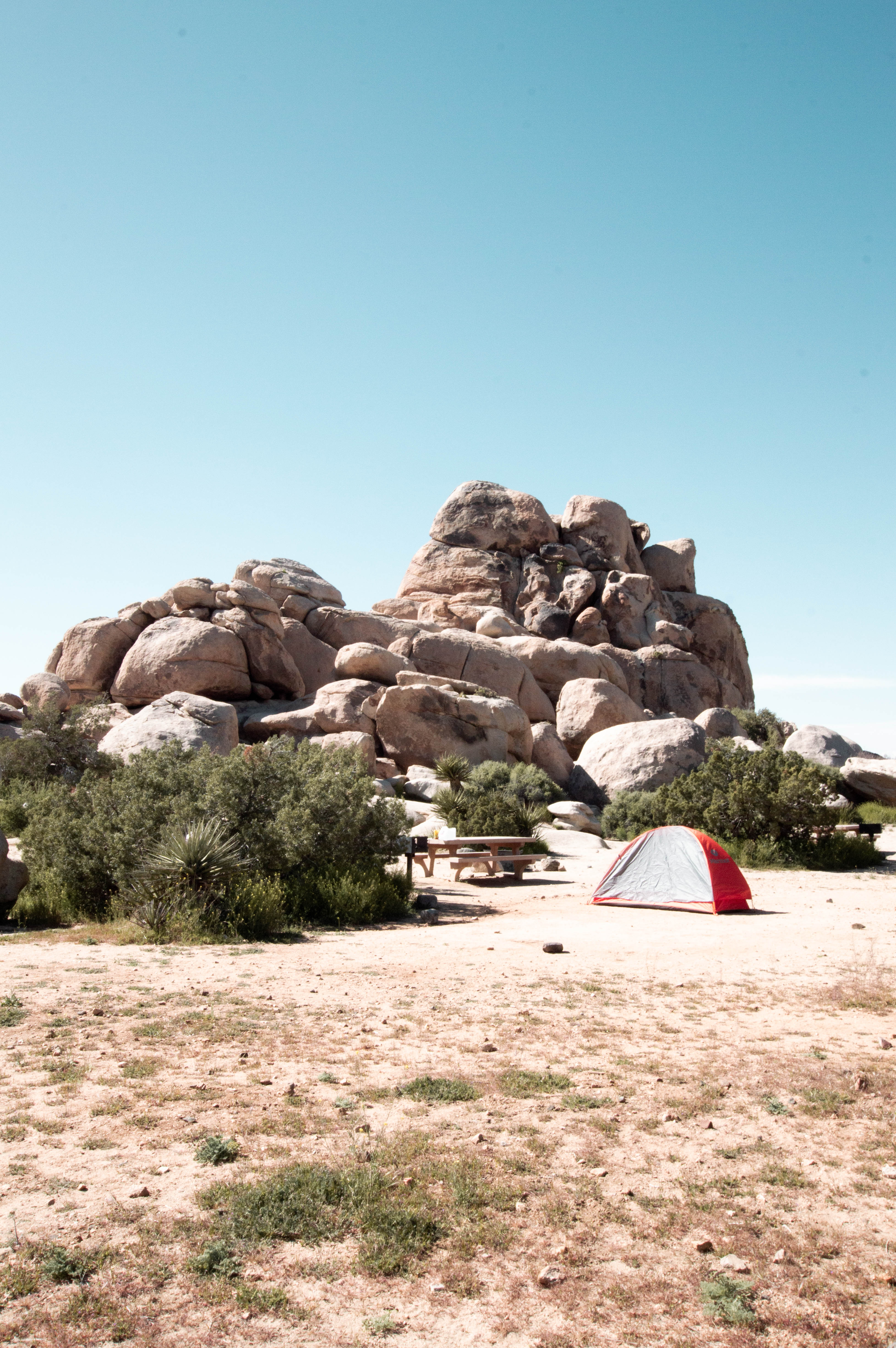 Ryan Campground - Joshua Tree