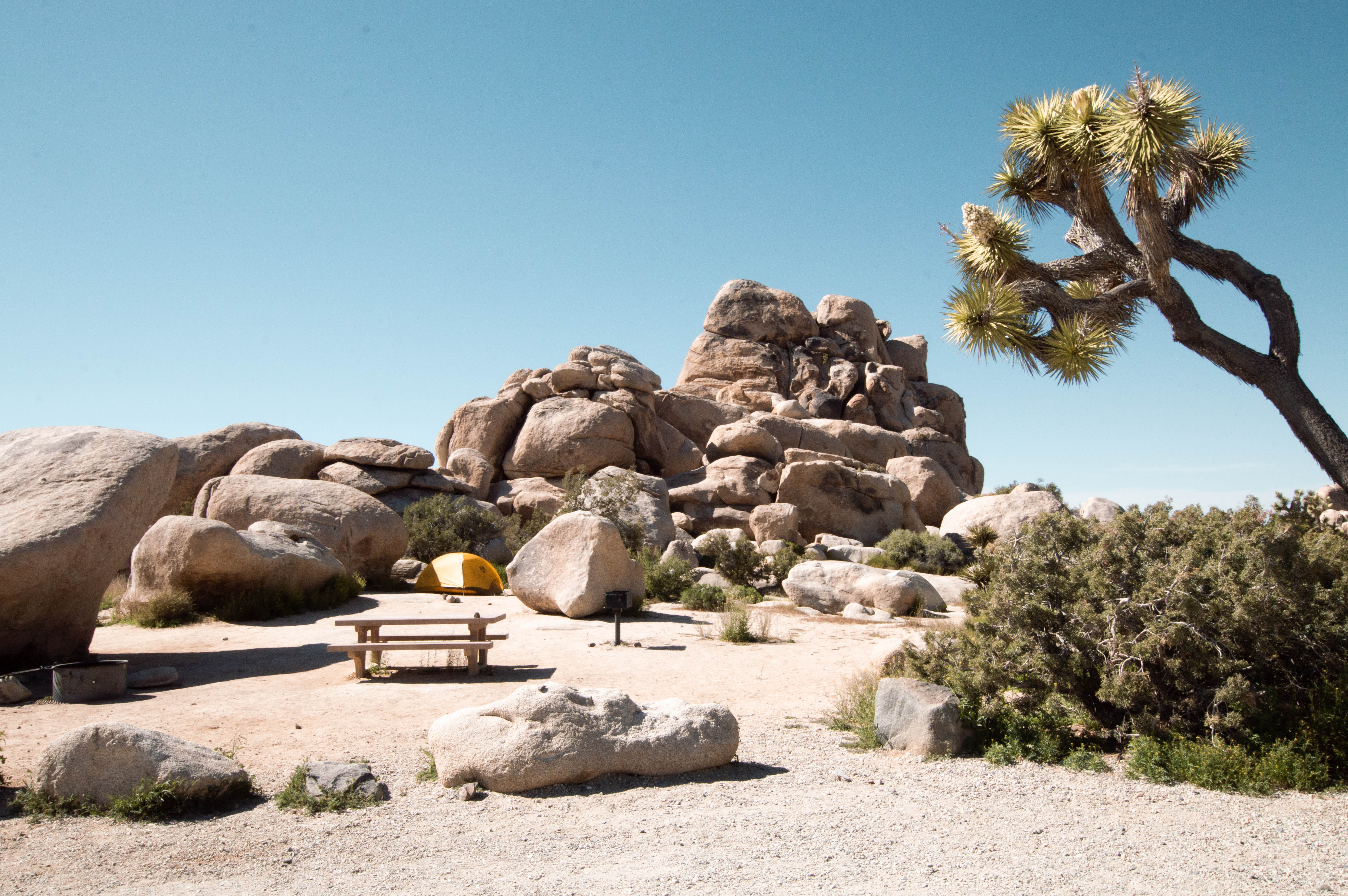 Ryan Campground - Joshua Tree