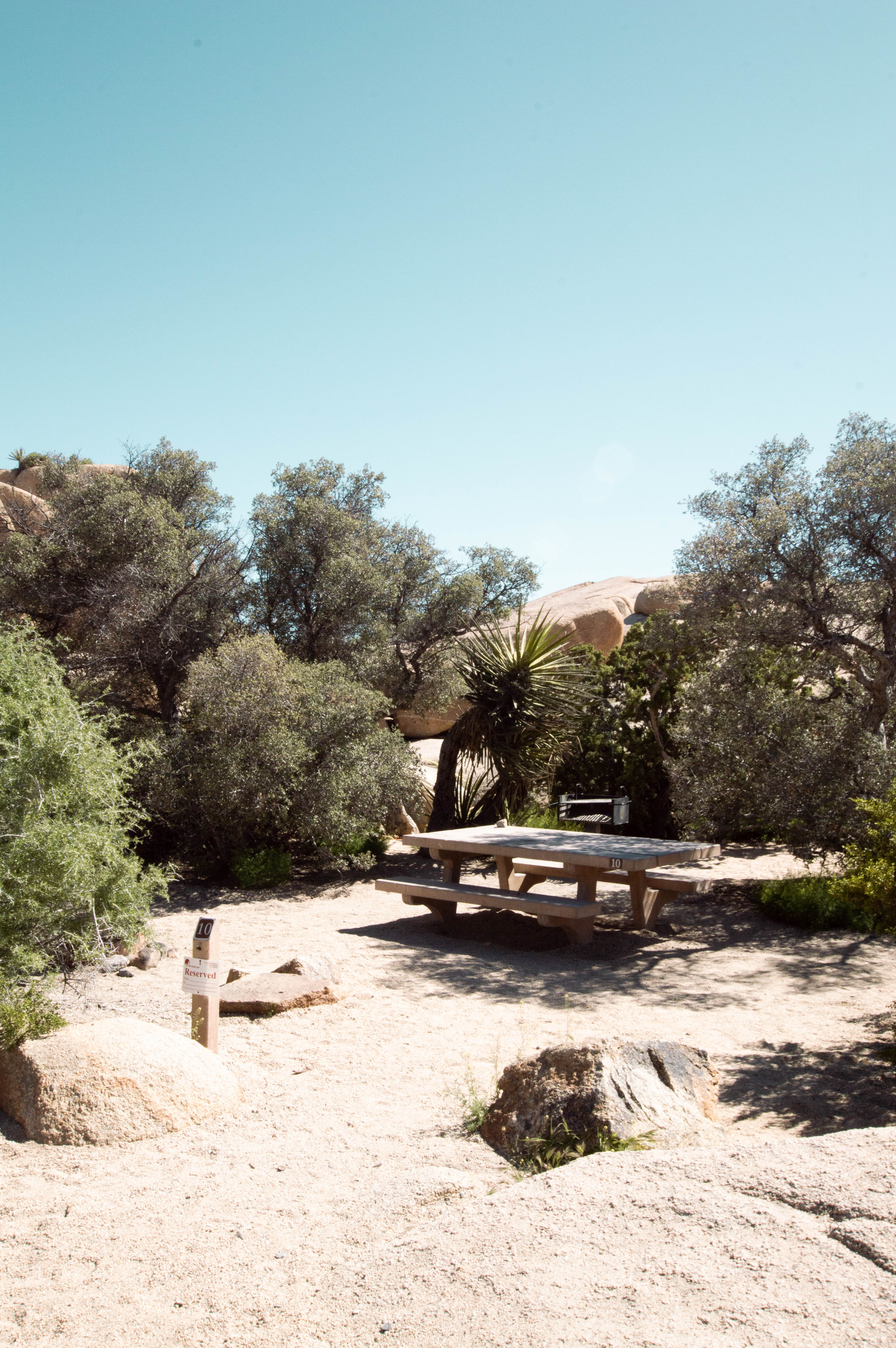 Jumbo Rocks Campground - Joshua Tree