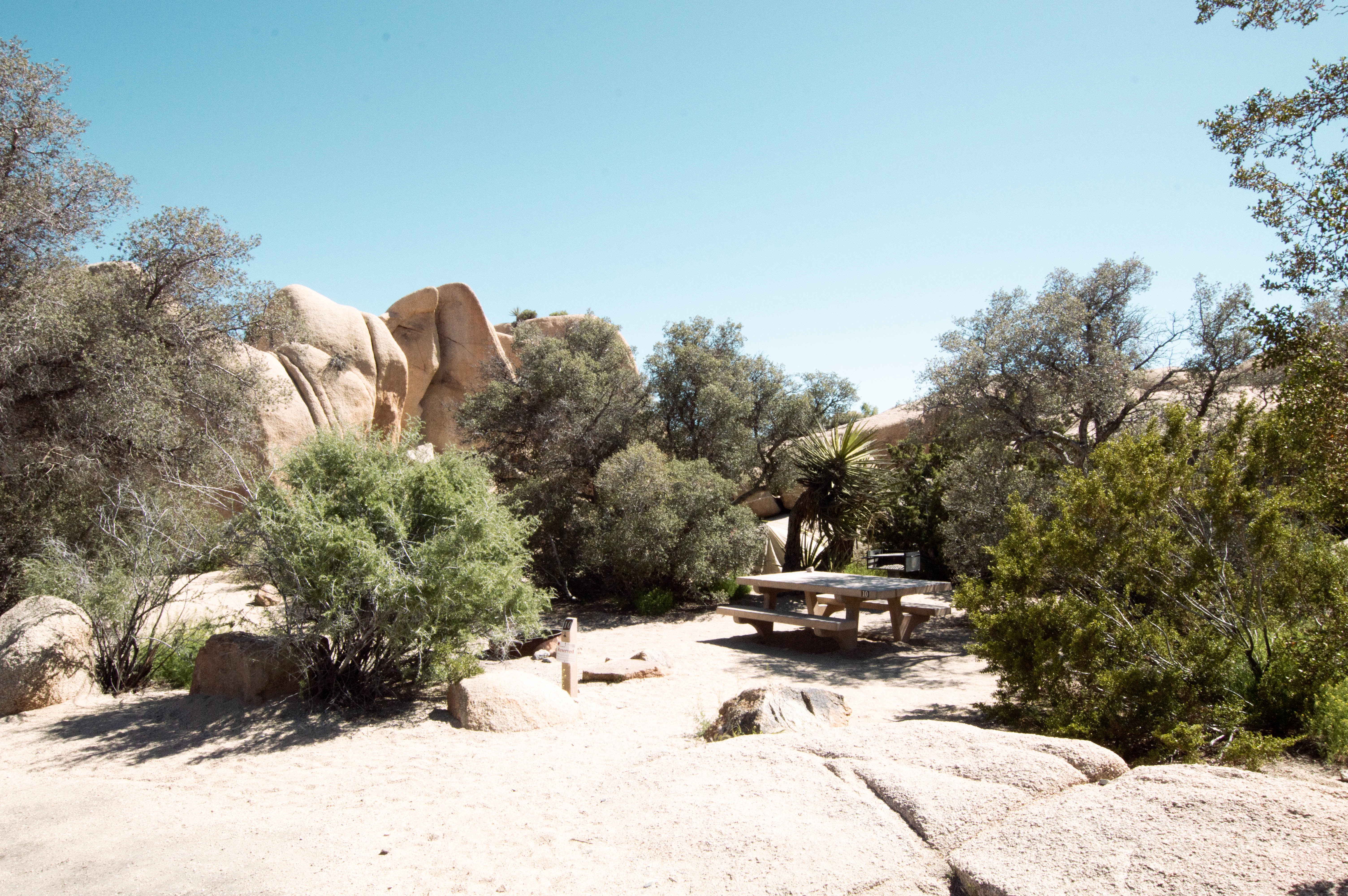 Jumbo Rocks Campground - Joshua Tree