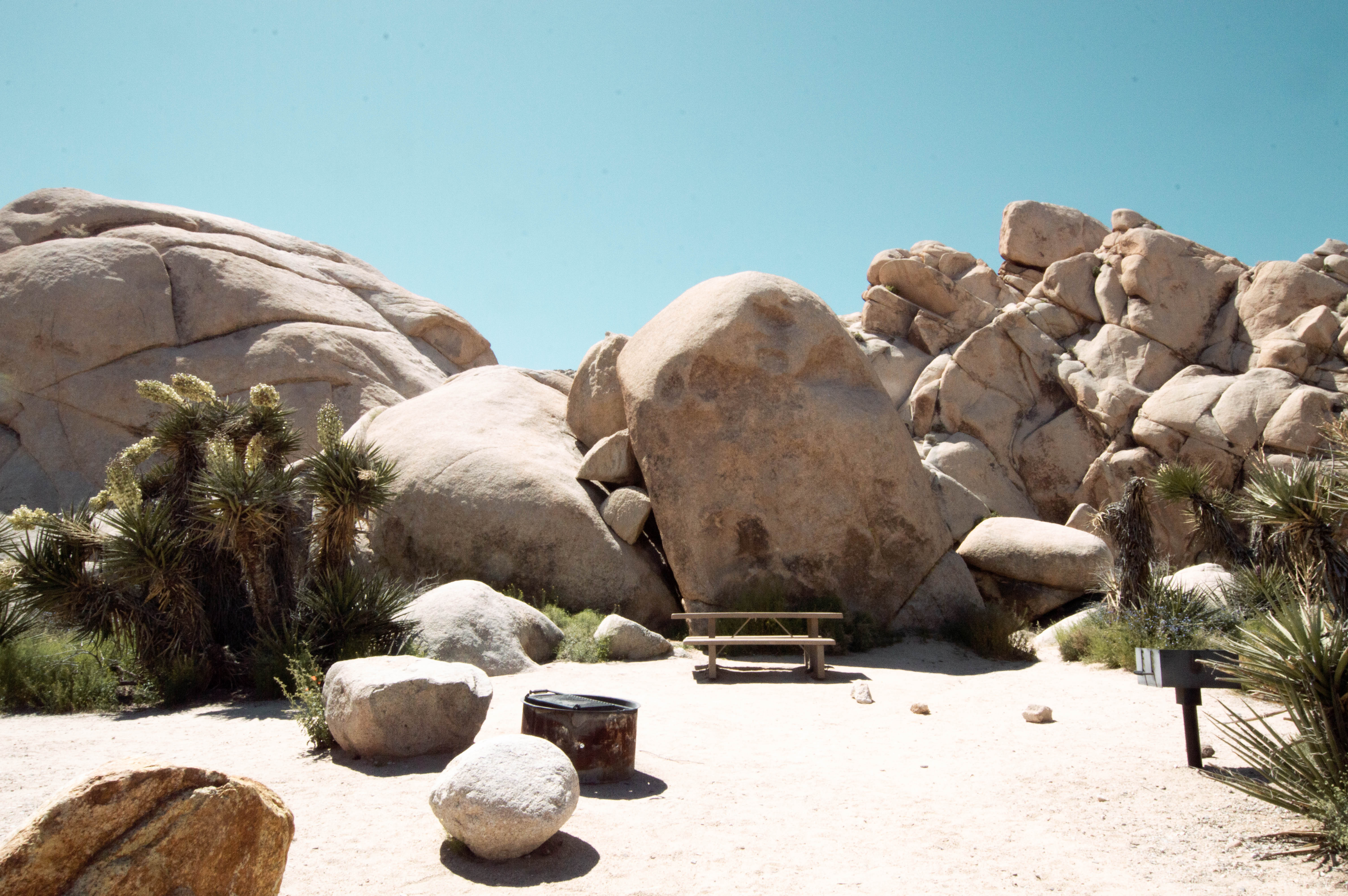 Indian Cove Campground - Joshua Tree