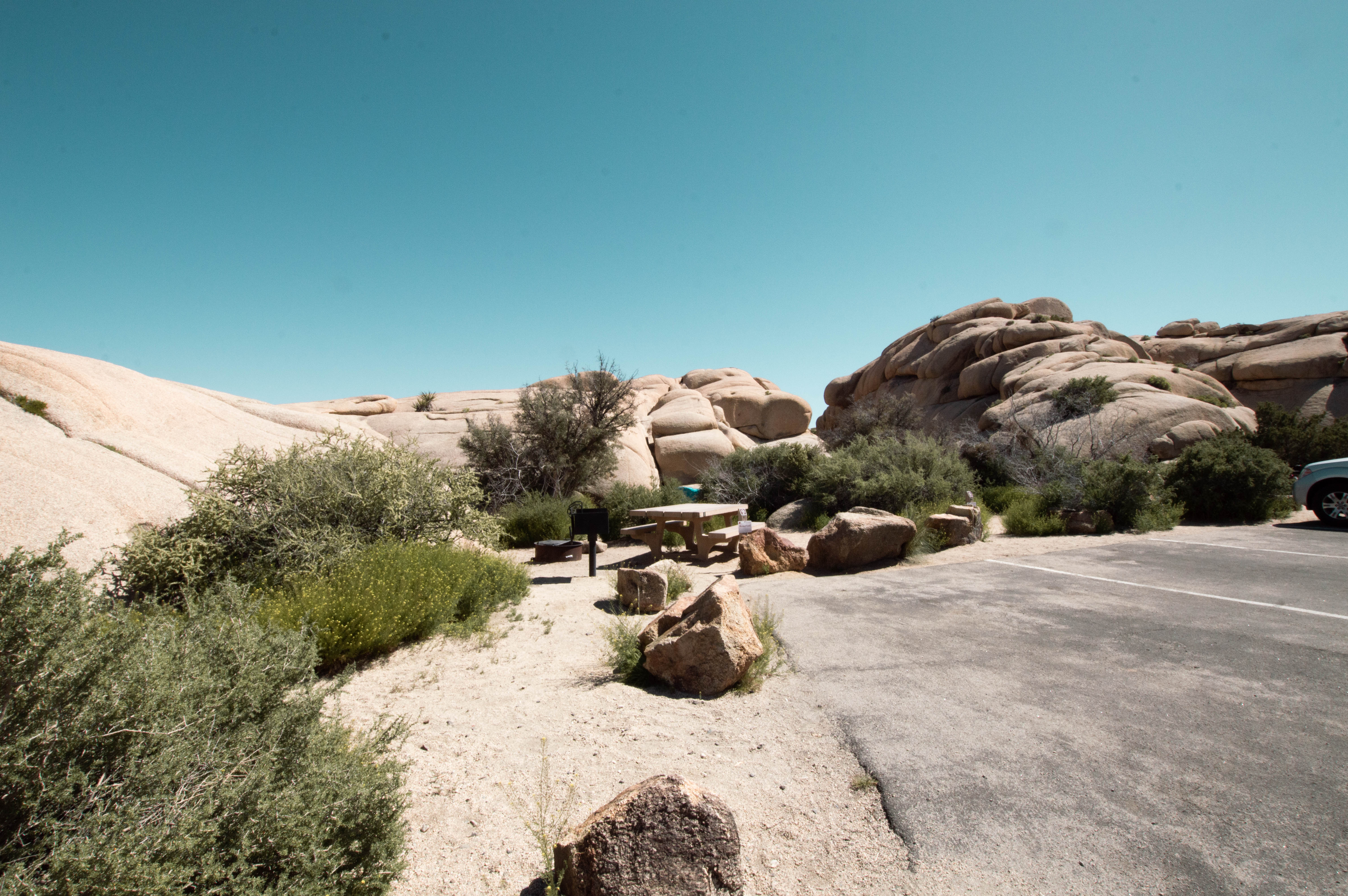 Jumbo Rocks Campground - Joshua Tree