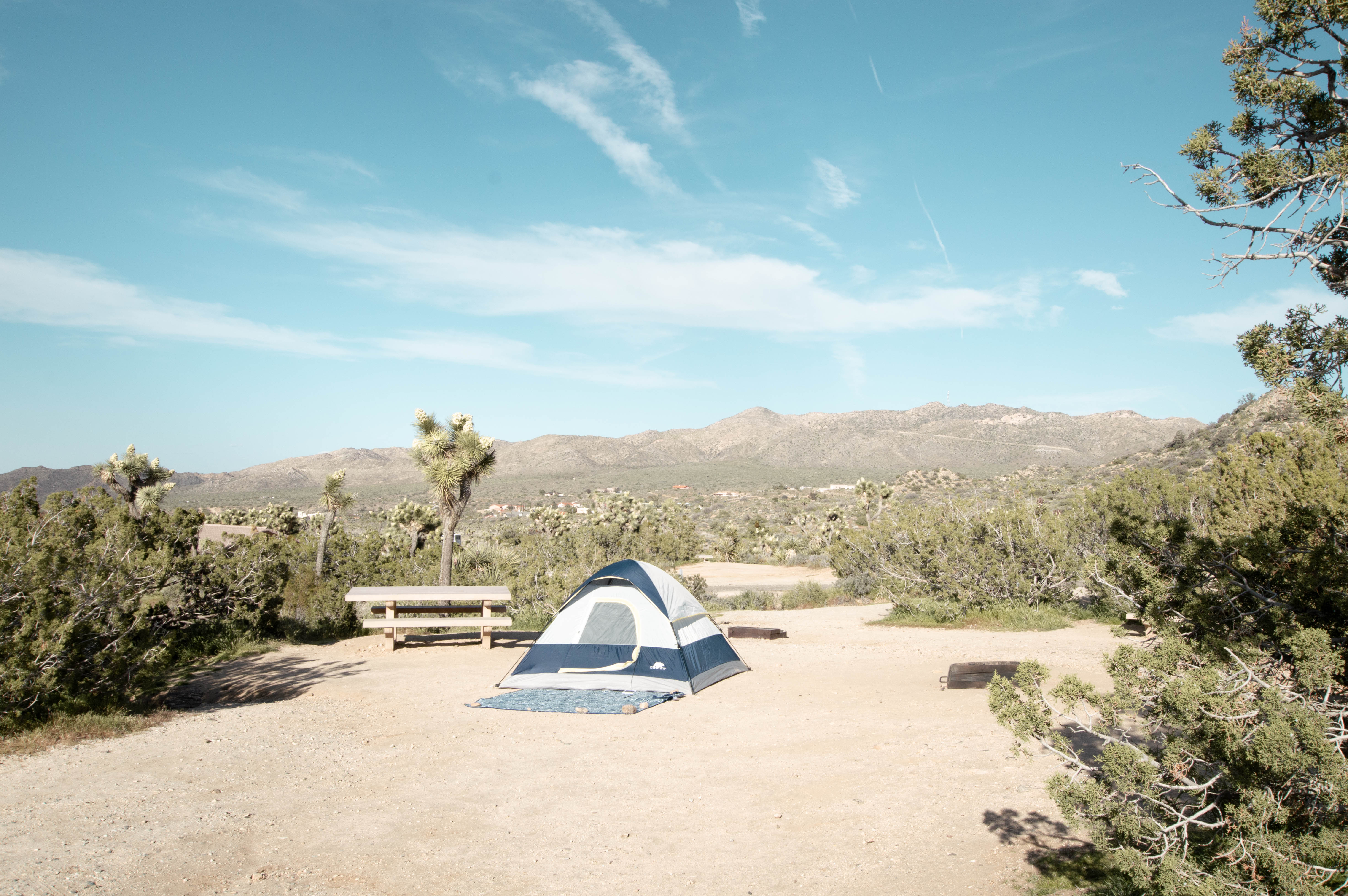 Black Rock Campground - Joshua Tree