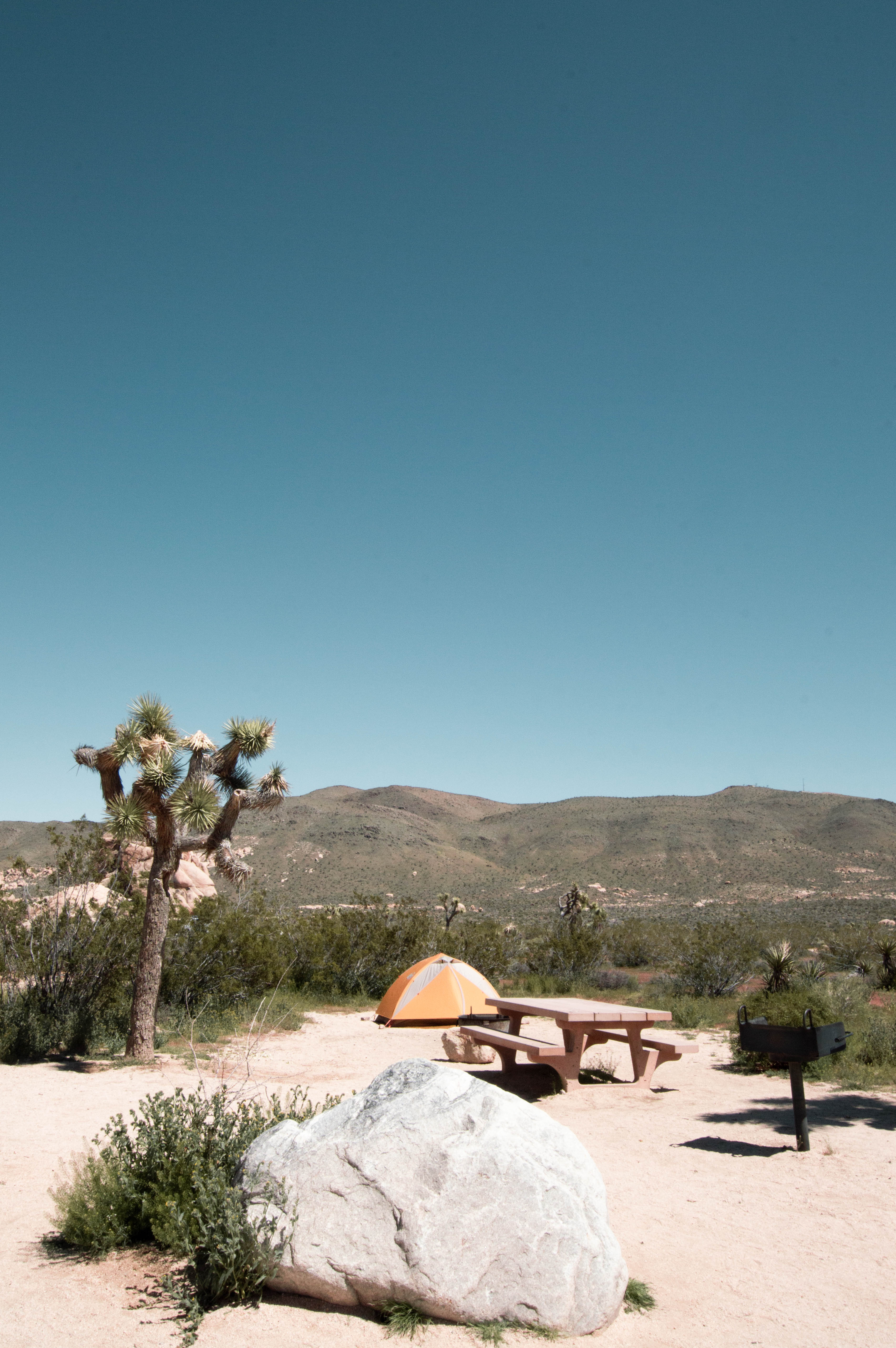 Belle Campground - Joshua Tree