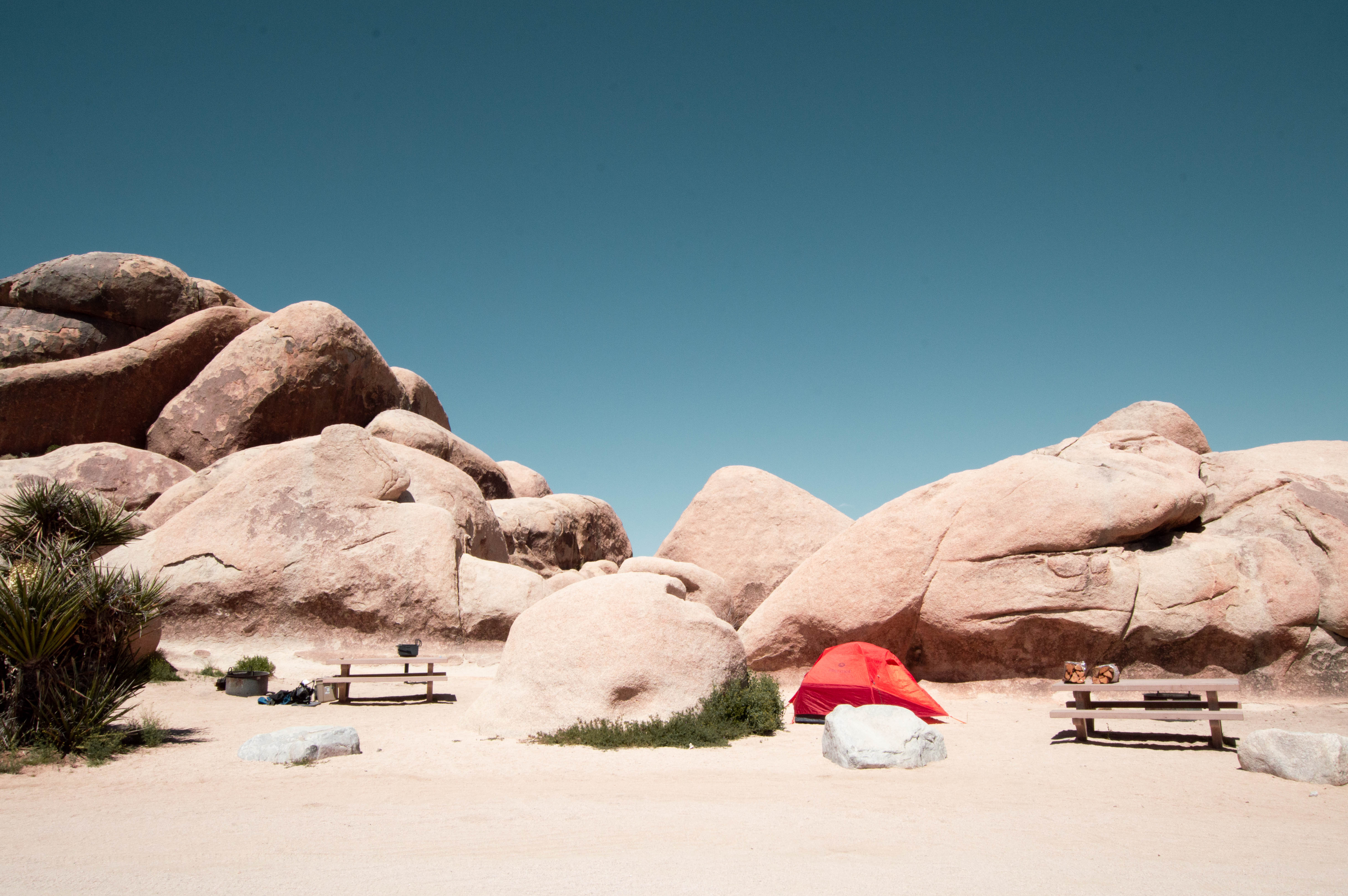 Belle Campground - Joshua Tree