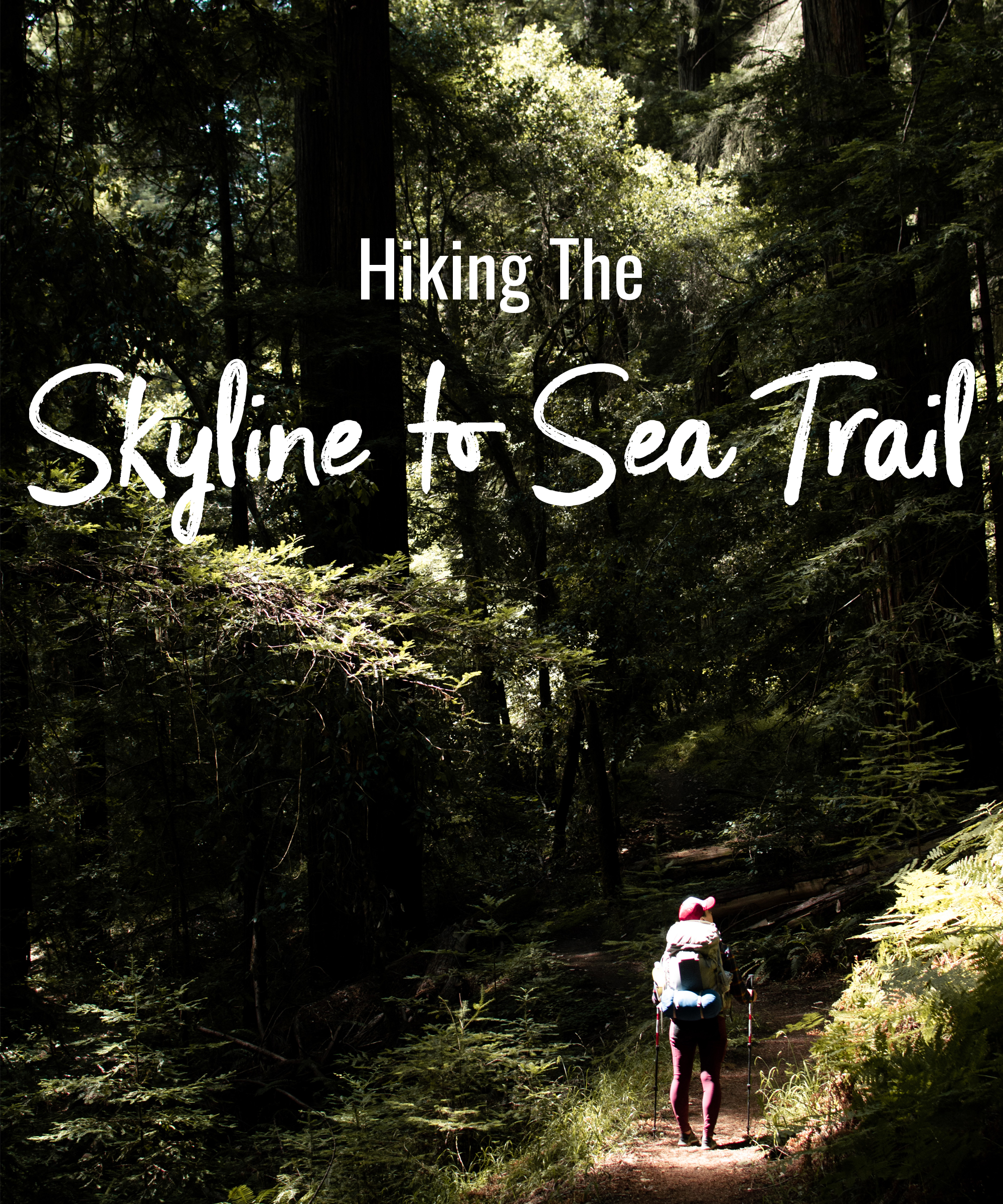 Hiking the Skyline to Sea Trail