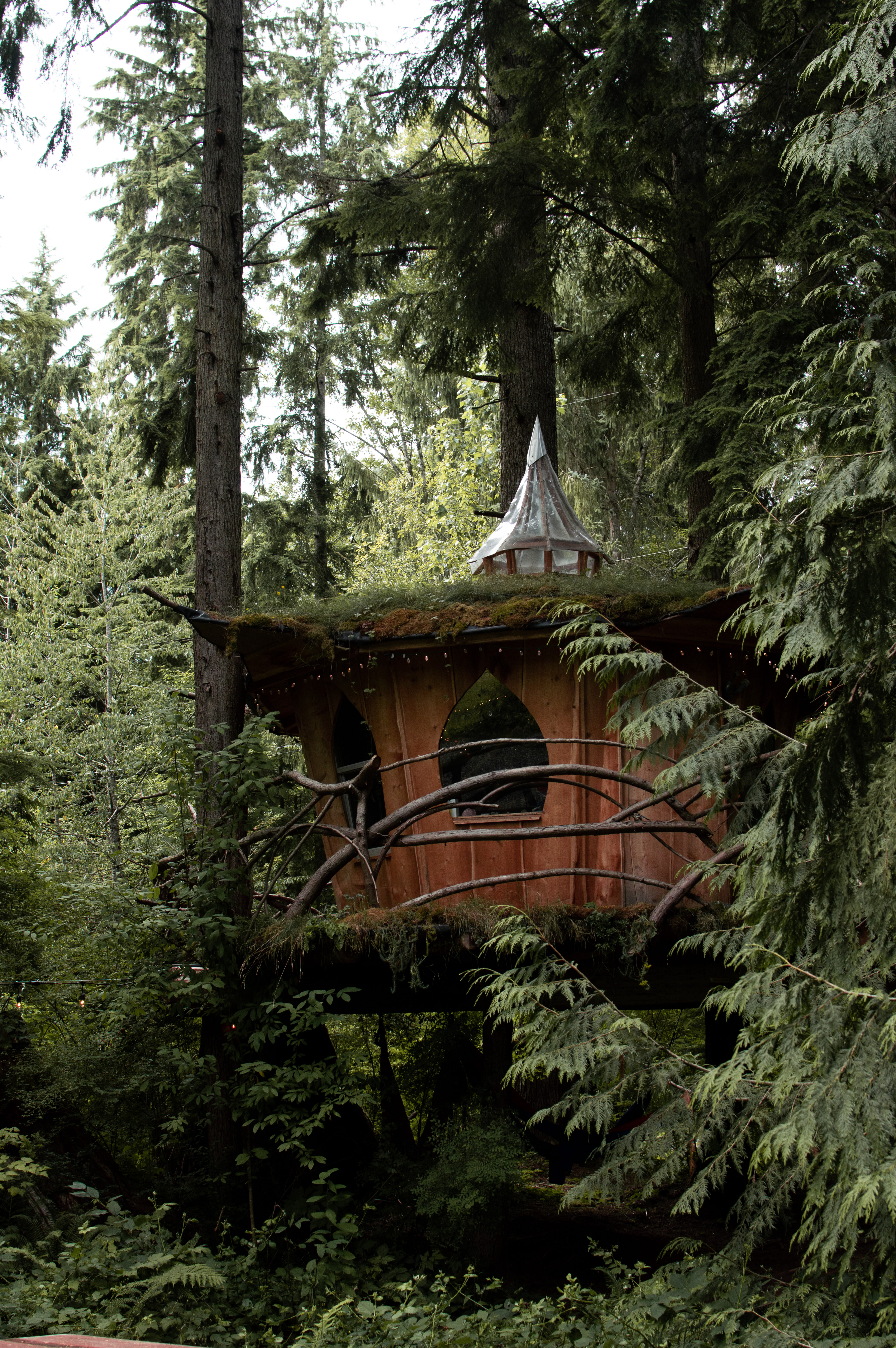 stay in a treehouse just north of Seattle 