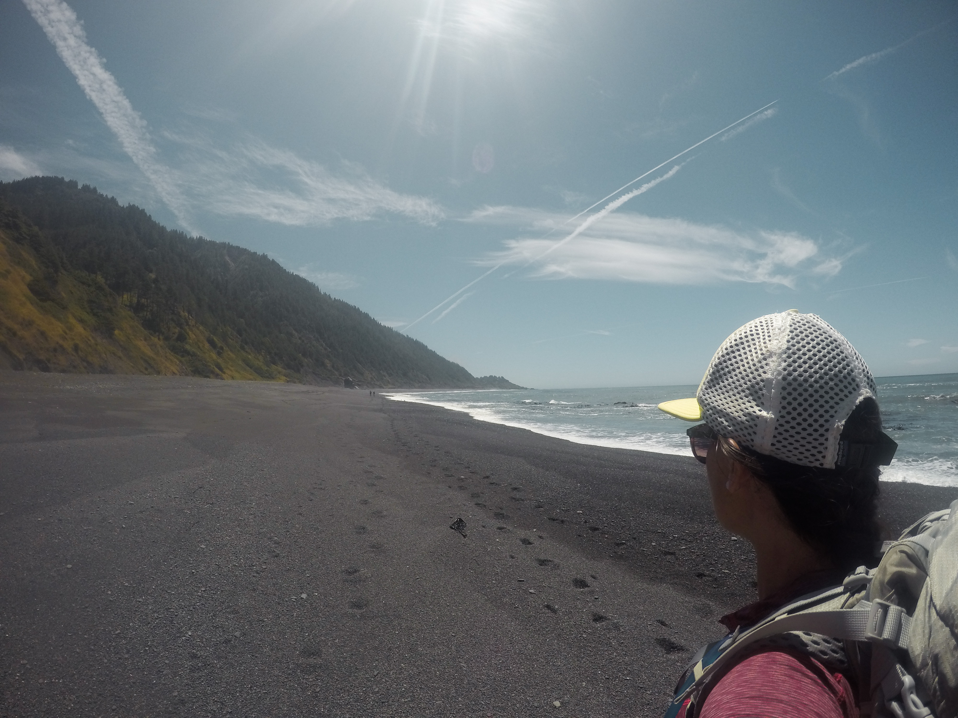 the lost coast