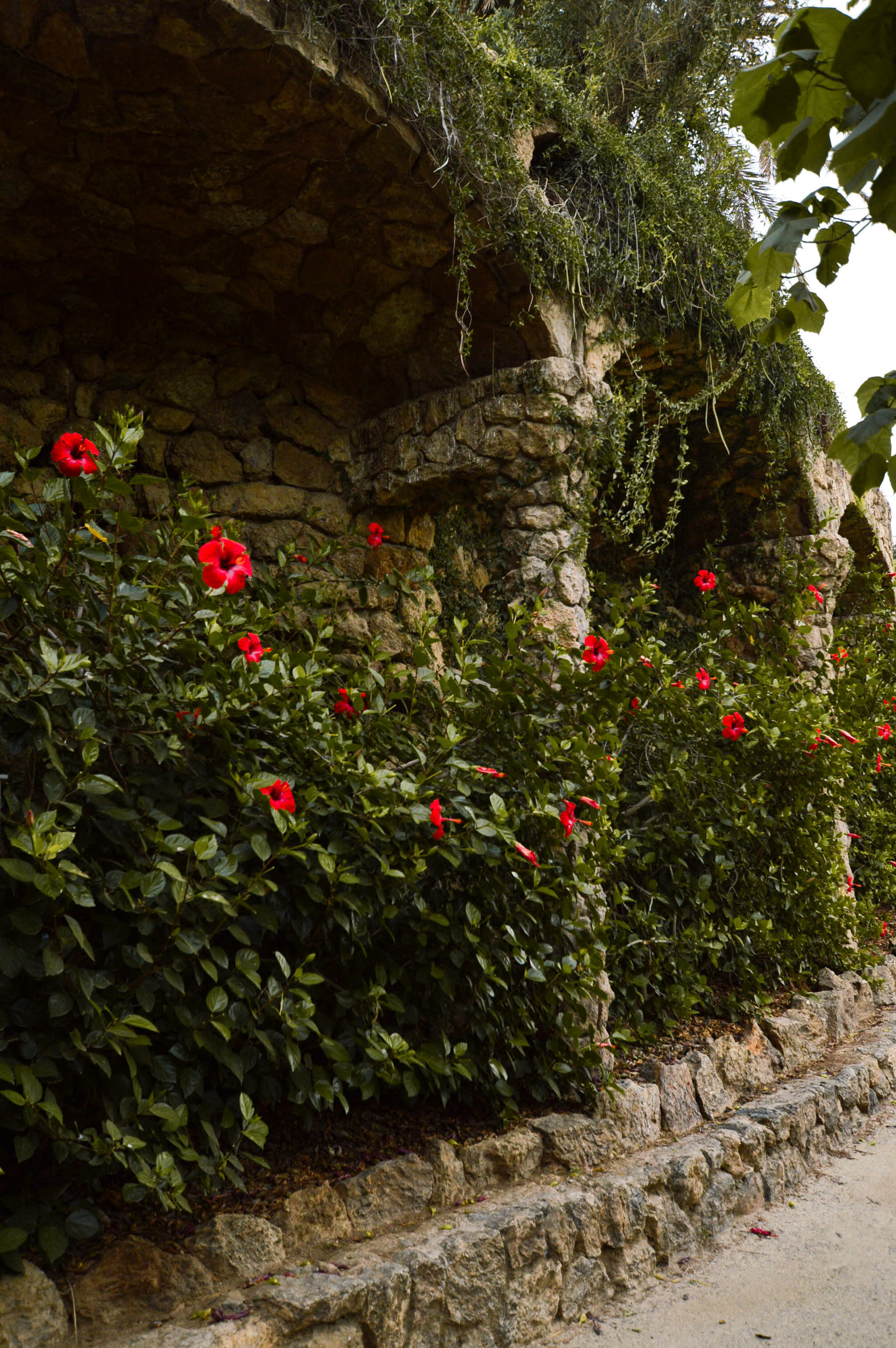 nature in architecture