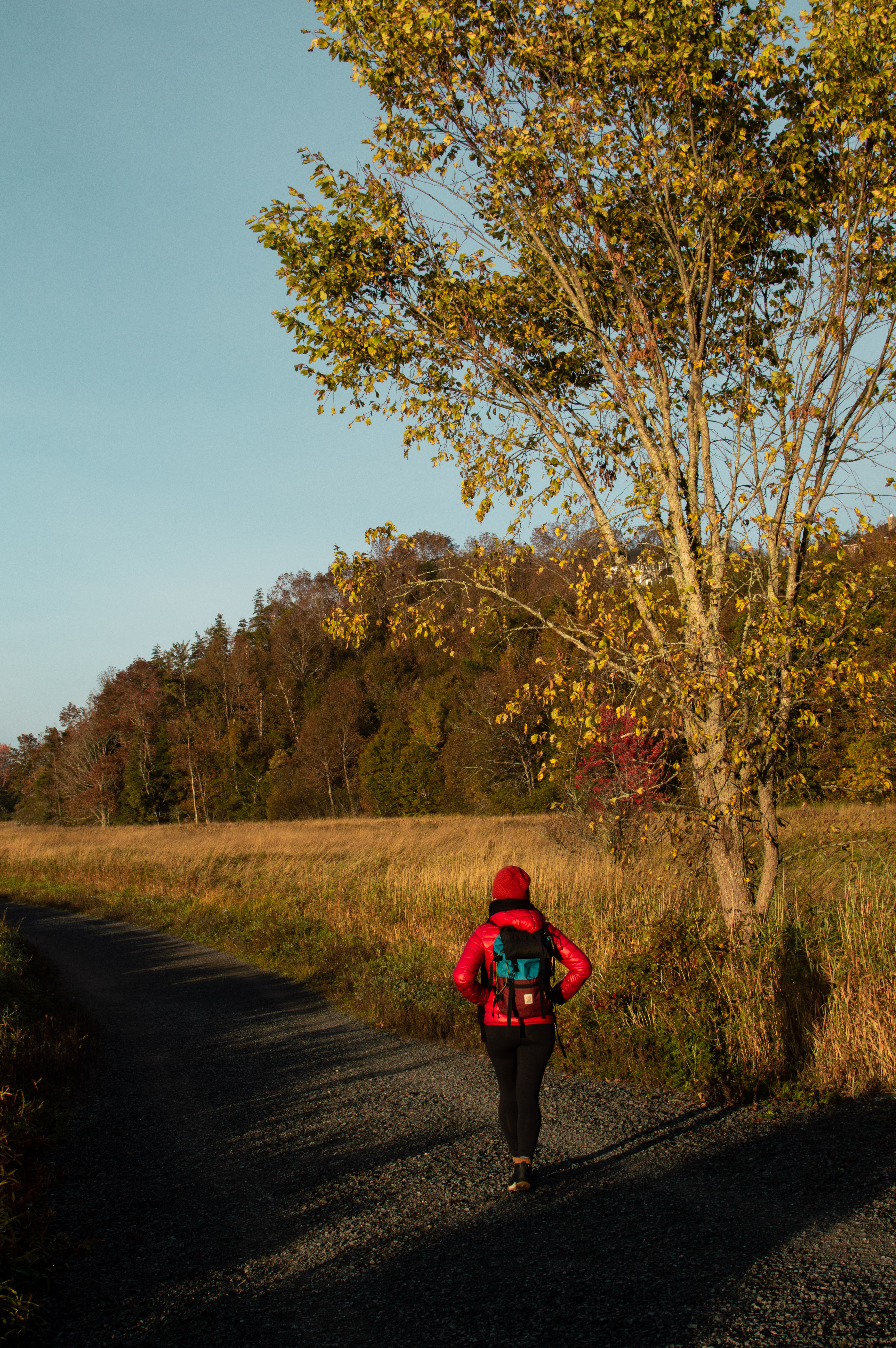 hiking in Nova Scotia