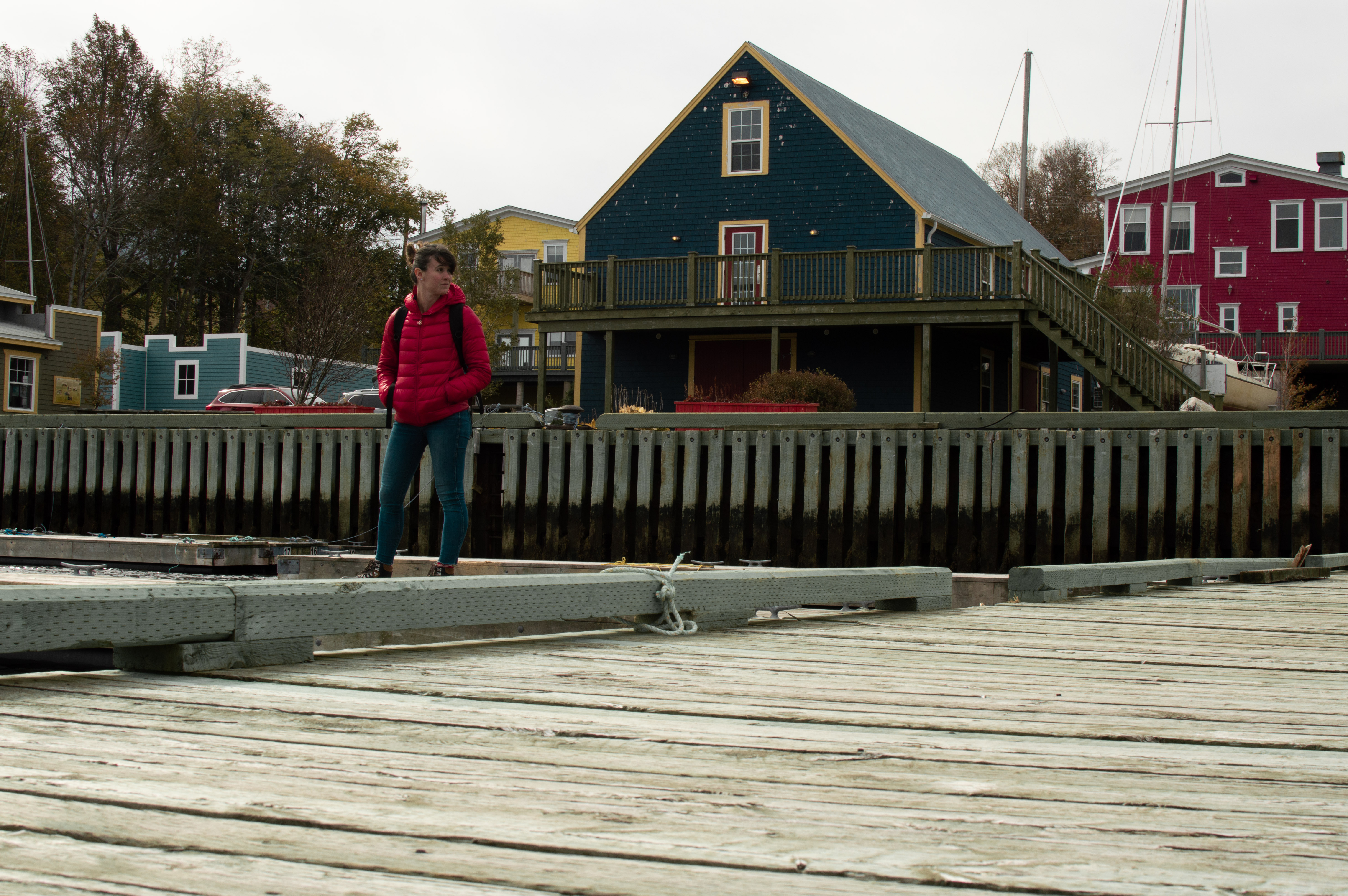 A Hipster's Nova Scotia Road Trip
