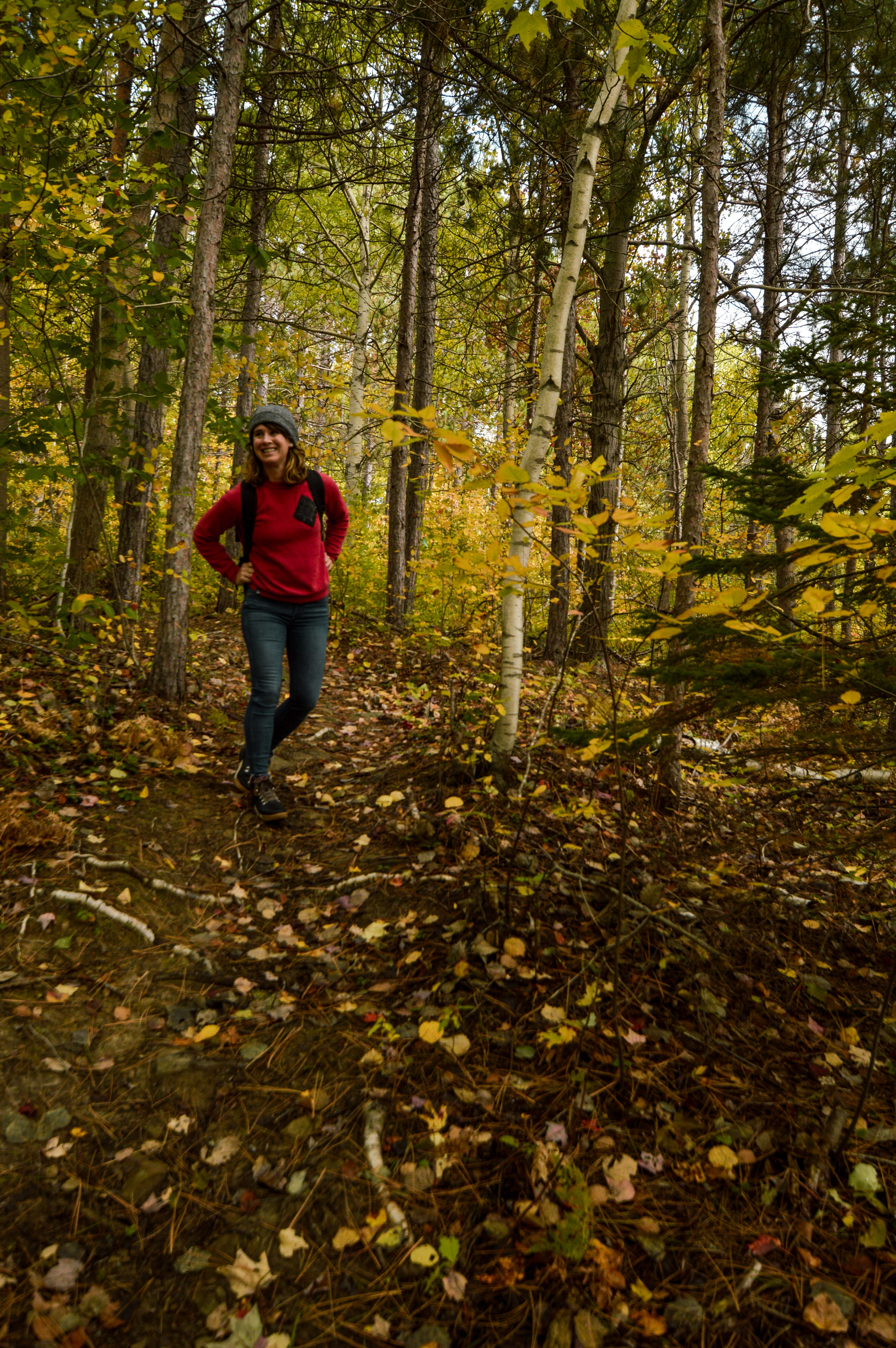 Things to do on a Nova Scotia Road trip