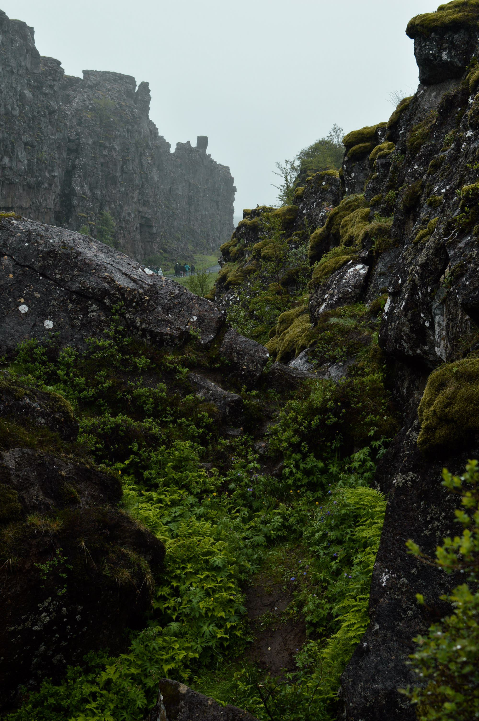 Thingvellir National Park