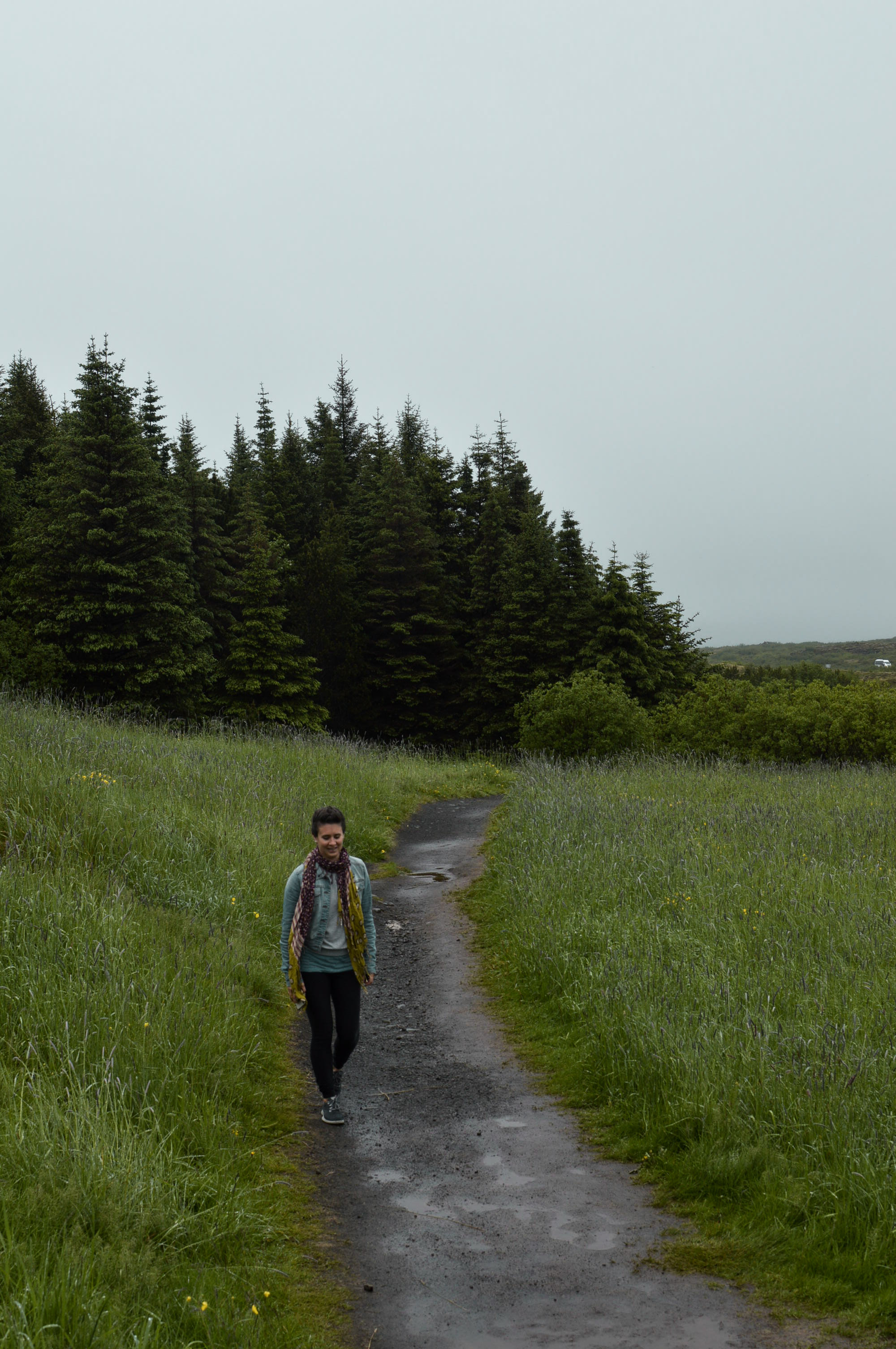 Thingvellir National Park