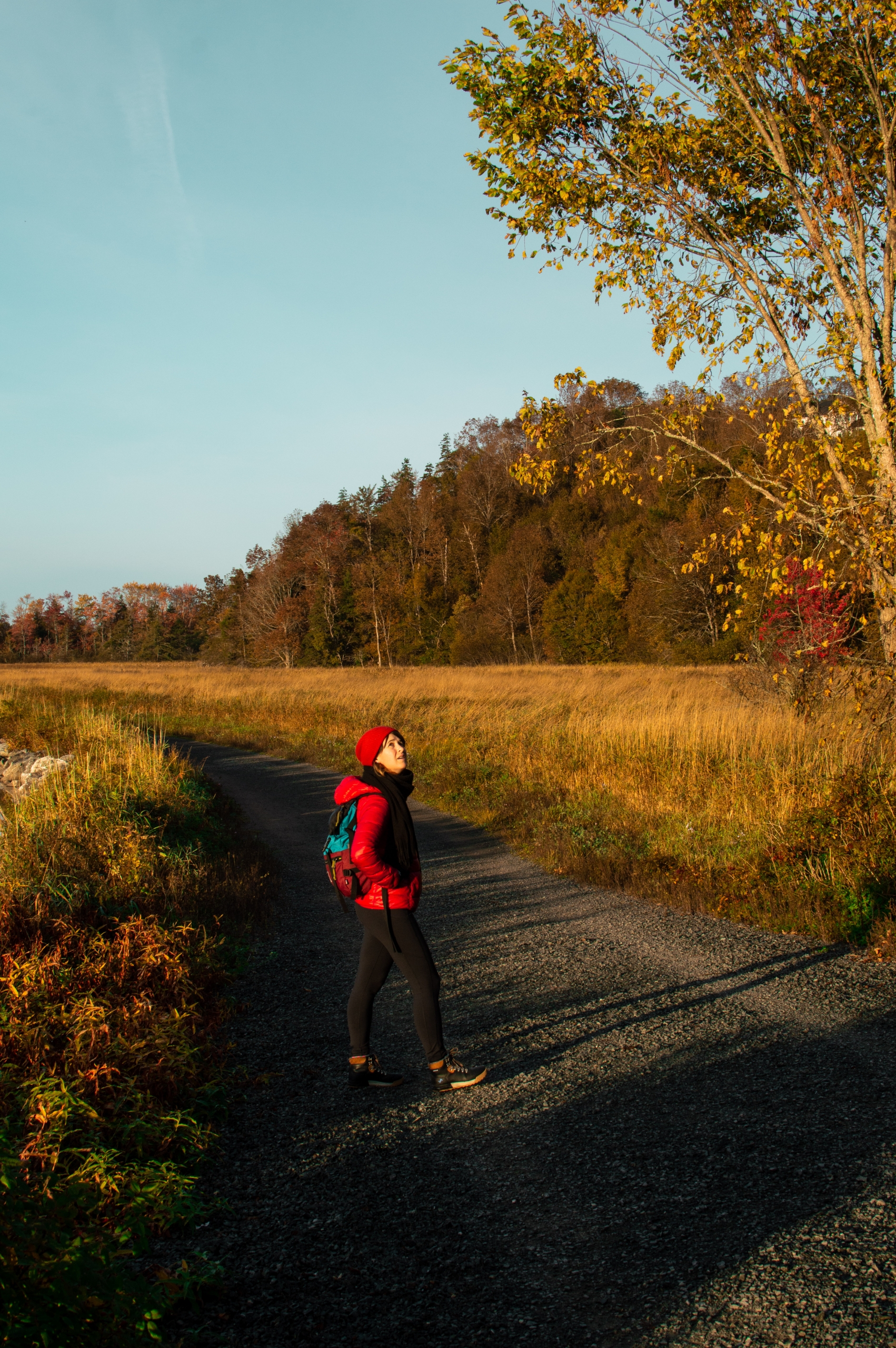 Hiking in Nova Scotia