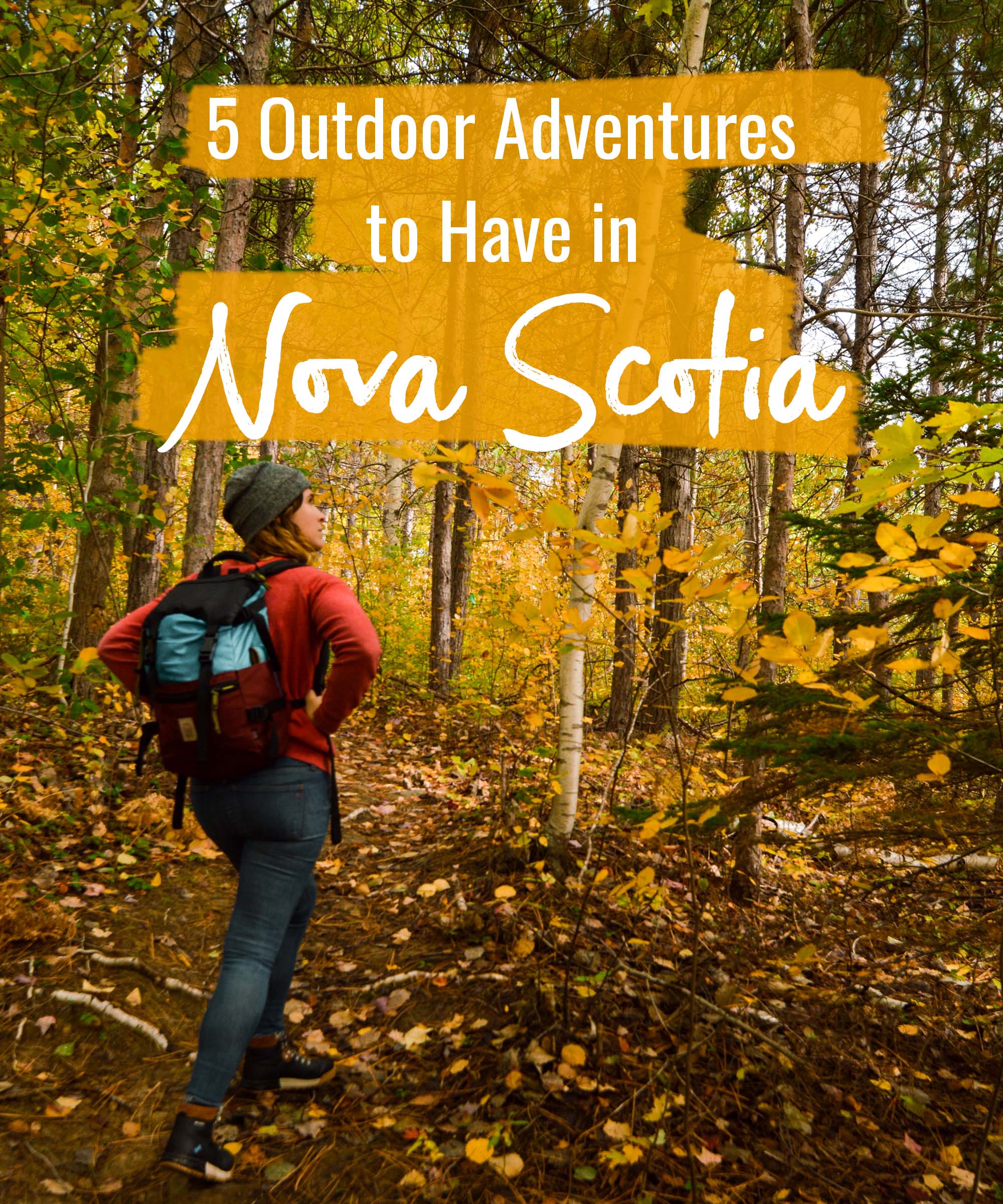 5 outdoor adventures to have in Nova Scotia
