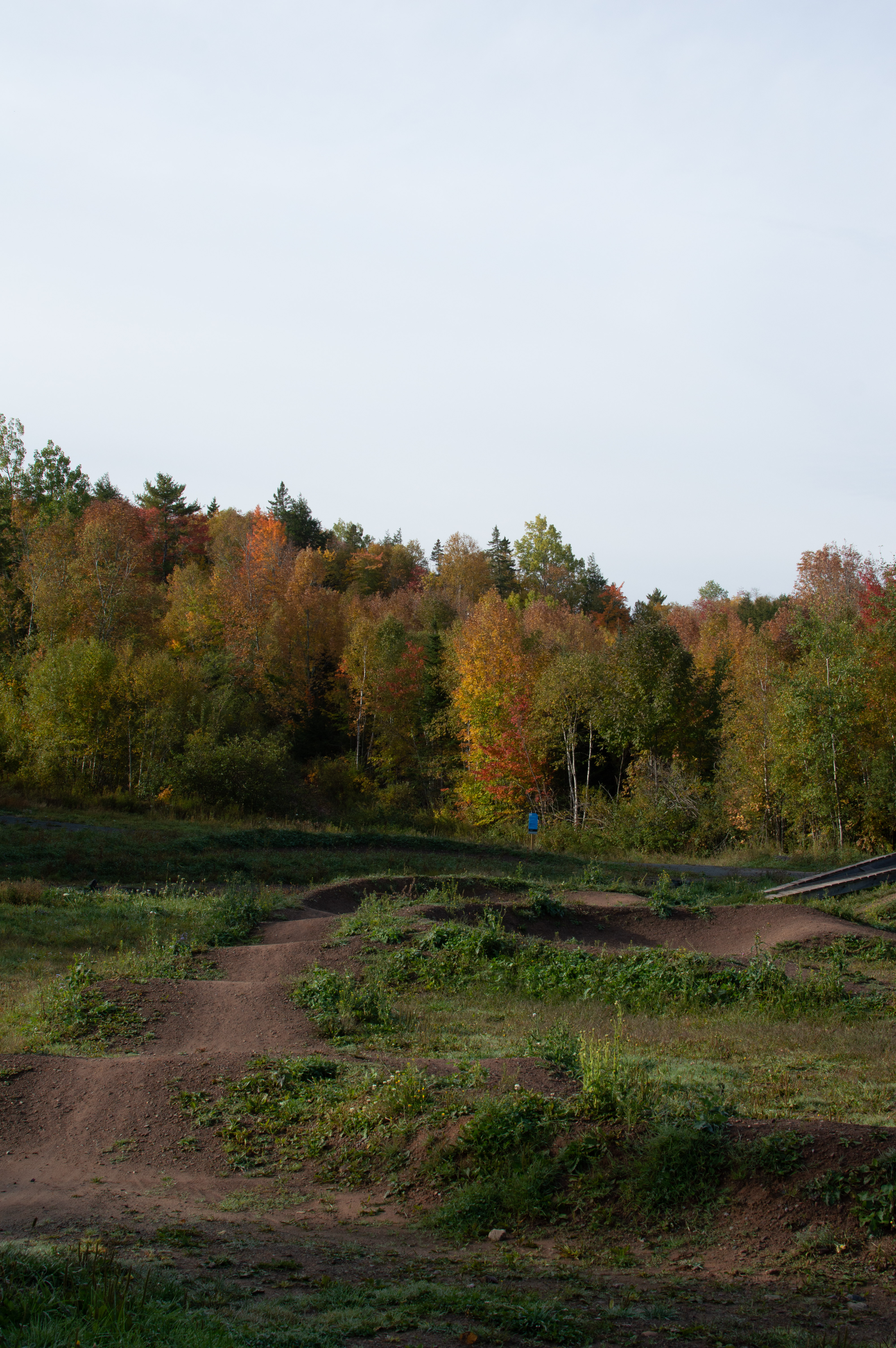 Keppoch Mountain bike track