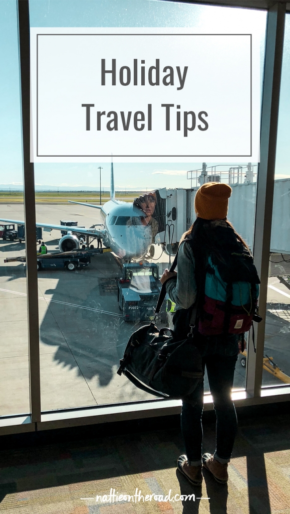 Holiday Travel Trips