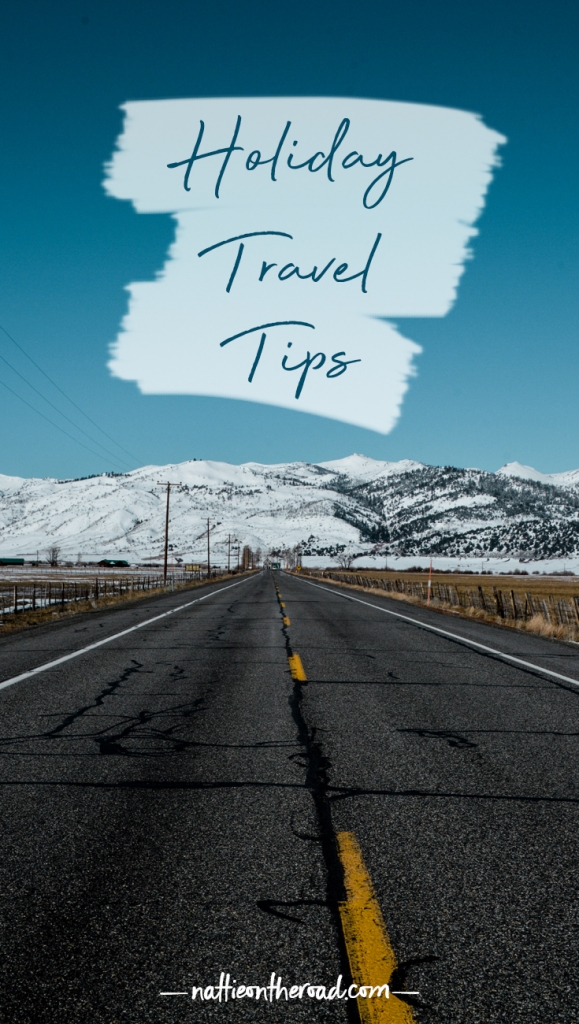 Holiday Travel Trips