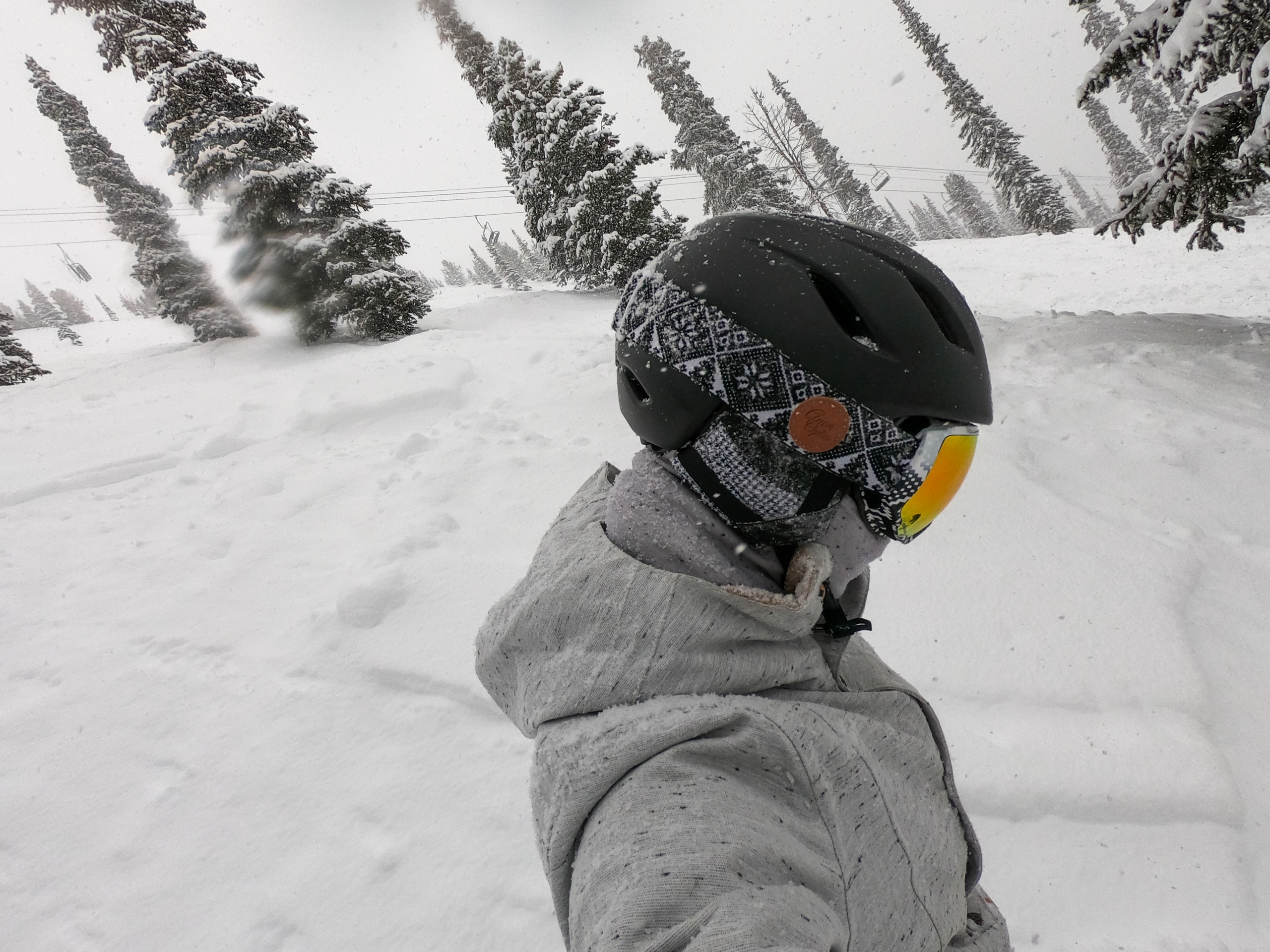 Kicking Horse Ski Resort