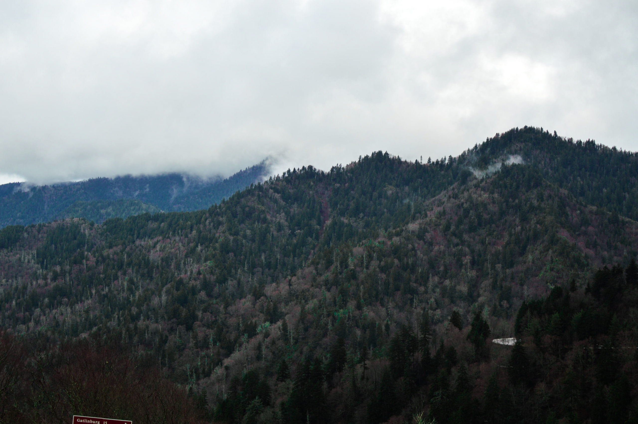 Great Smoky Mountains National Park