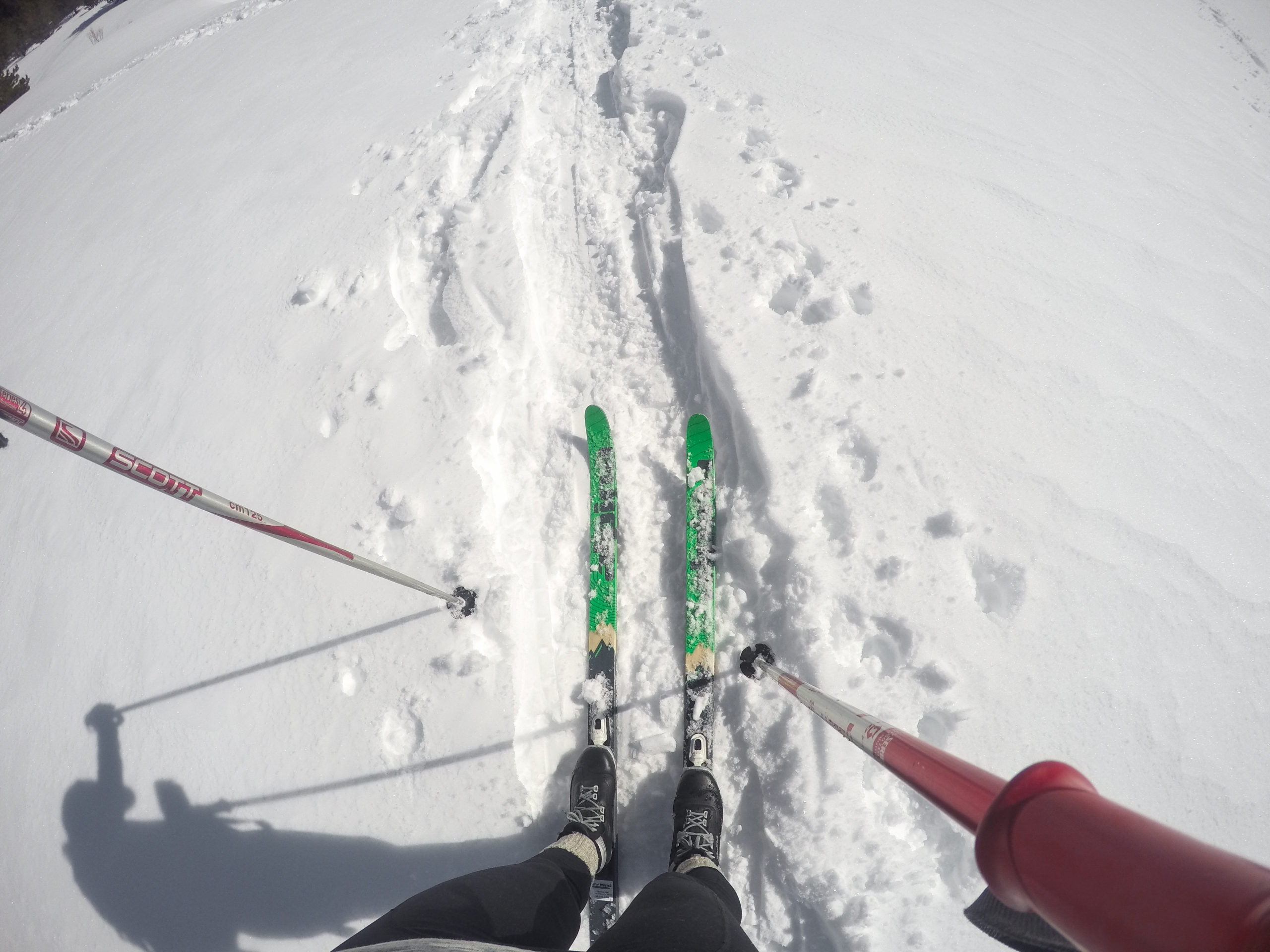 Cross Country Skiing in Tahoe