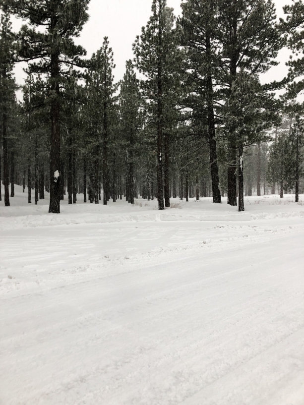 5 Outdoor Adventures to have in Tahoe