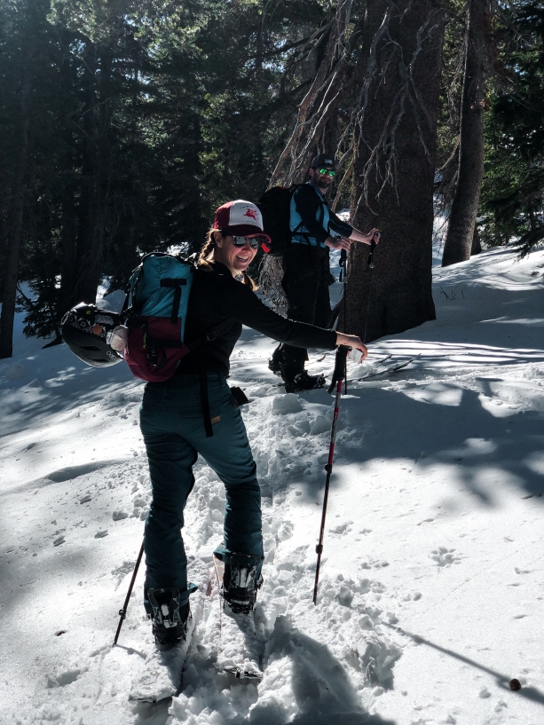 Backcountry Snowboarding