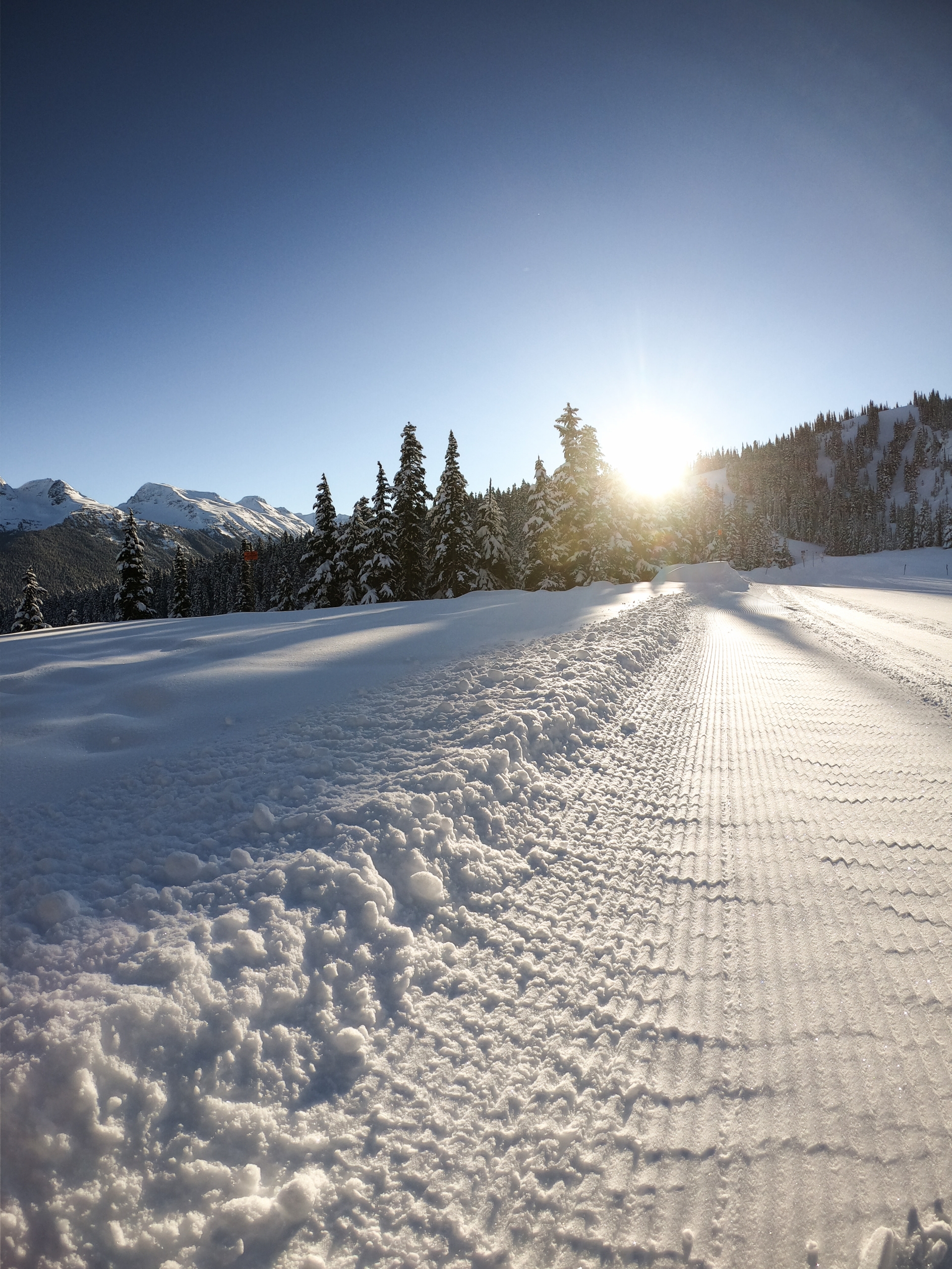 fresh tracks at whistler
