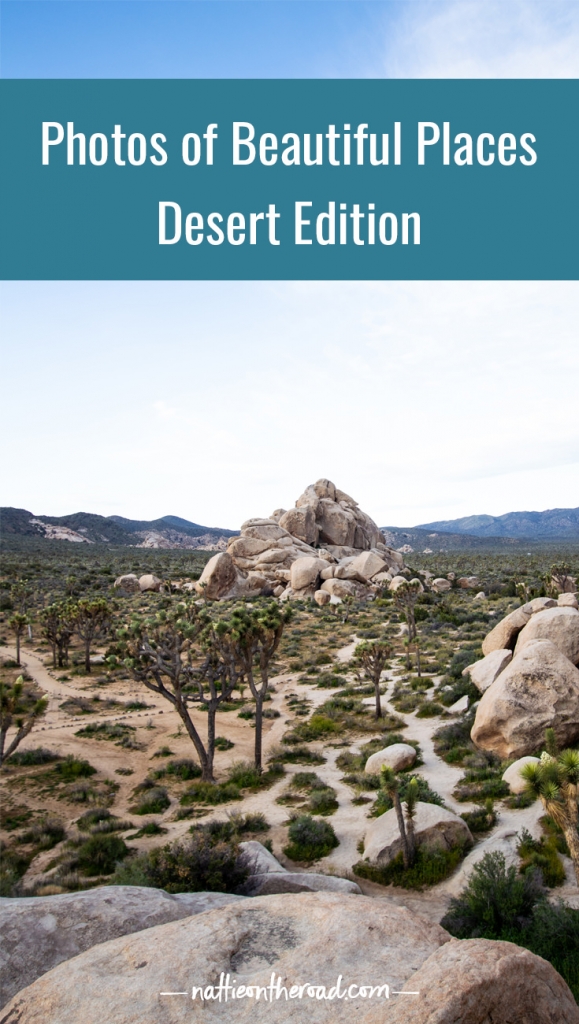 Photos of Beautiful Places: Desert Edition