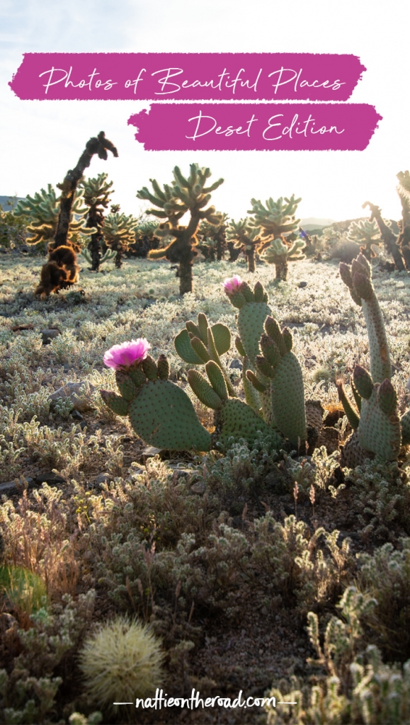 Photos of Beautiful Places: Desert Edition