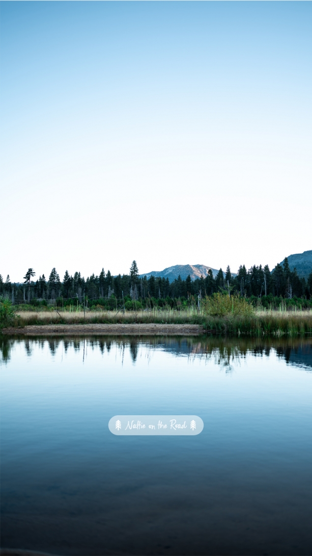 Phone Wallpaper of Tahoe