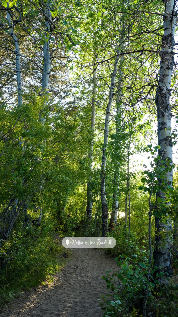 Phone Wallpaper of Tahoe